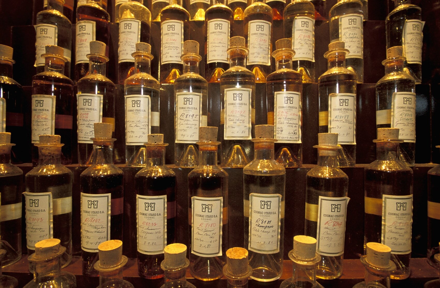 Mehrere Otard-Flaschen in einem Regal im Weinkeller Mehrere Otard-Flaschen in einem Regal im Weinkeller