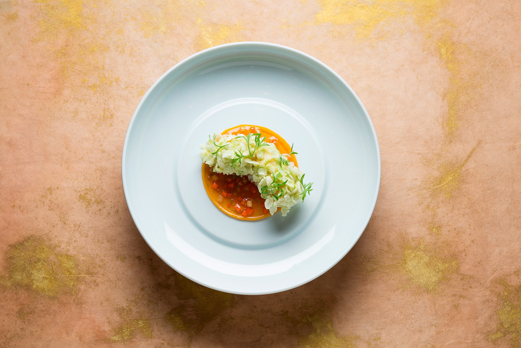 Ein weißer Gourmetteller mit stilvoll angerichtetem Wasabi Kaisergranat