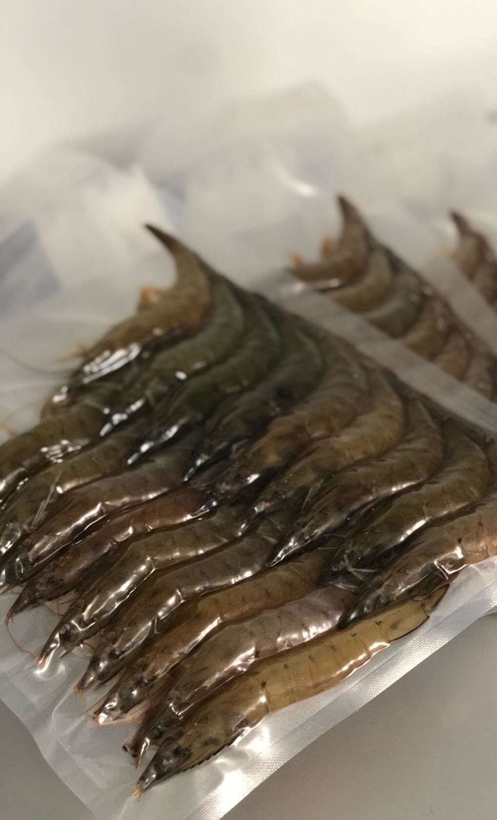 Nachhaltige Garnelen in einer Vakuumverpackung Nachhaltige Garnelen in einer Vakuumverpackung