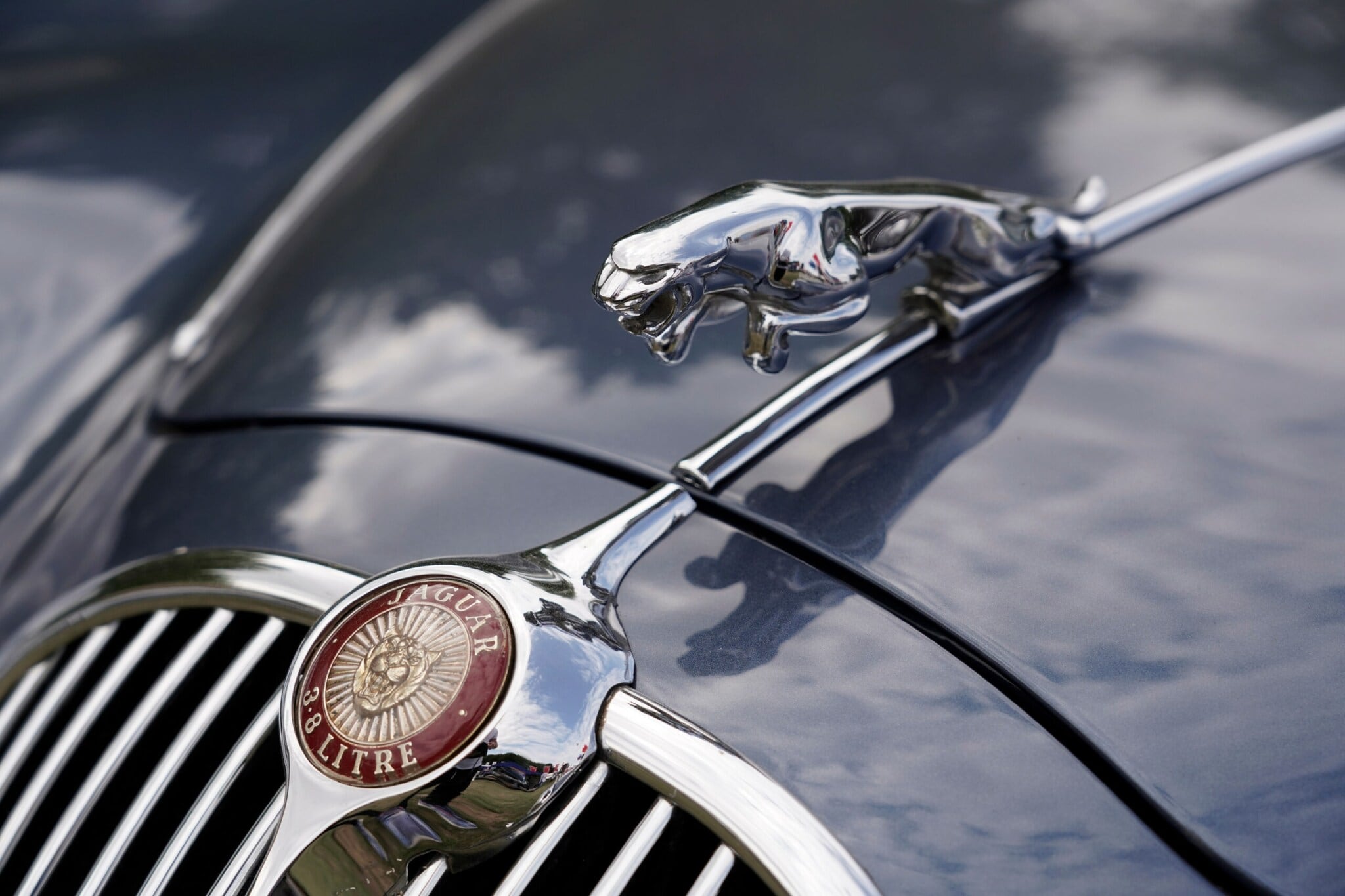 Nahaufnahme der Kühlerfigur eines Jaguar-Modells. Nahaufnahme der Kühlerfigur eines Jaguar-Modells.