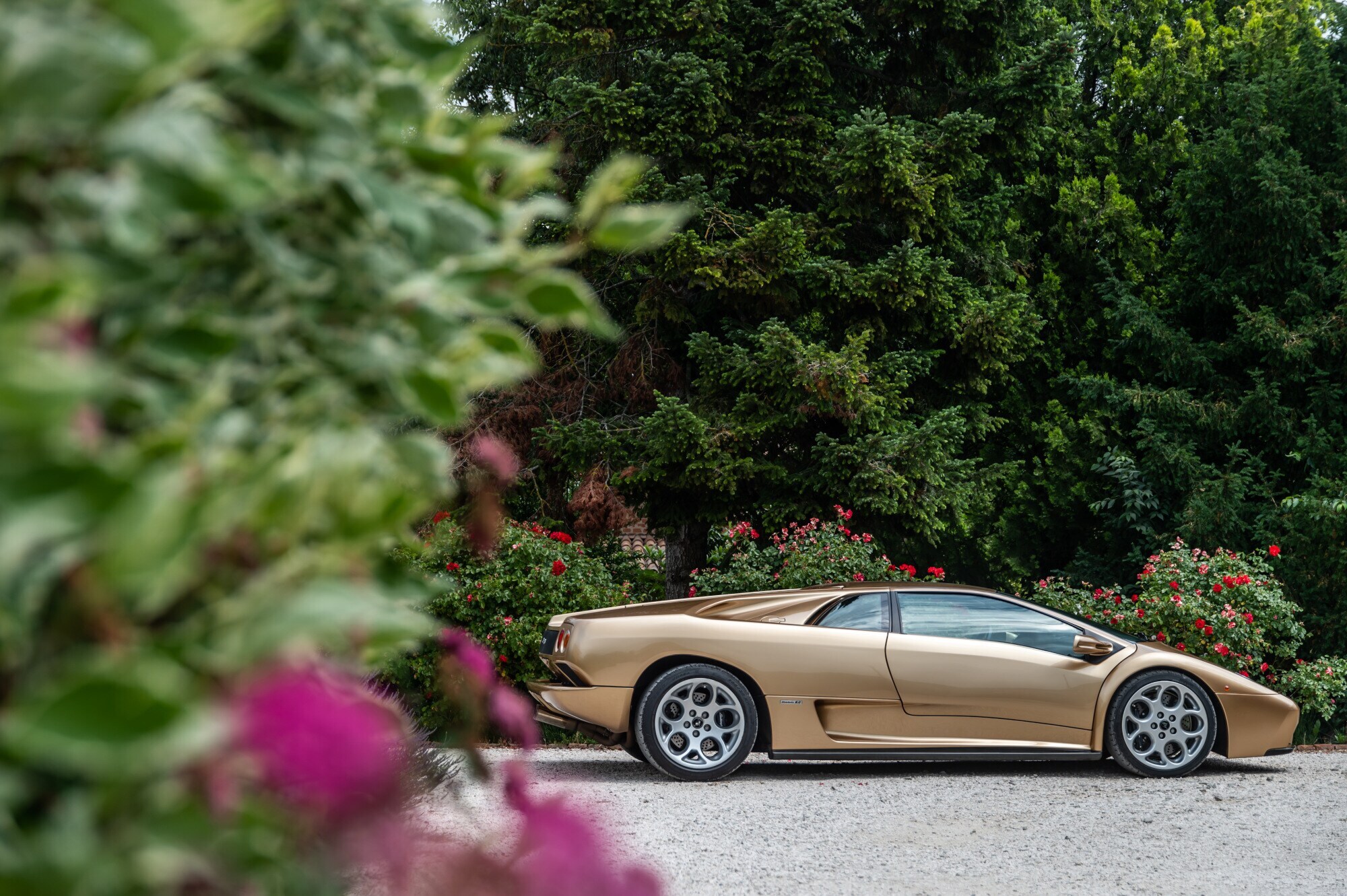 Ein goldfarbener Sportwagen von der Seite in einem Park