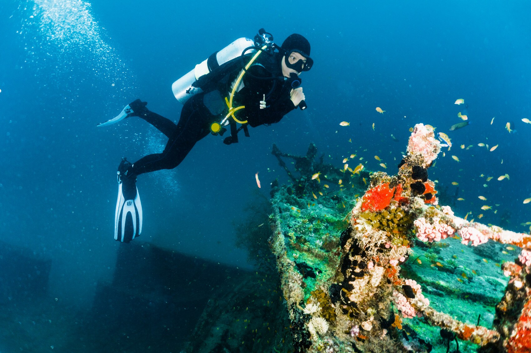Ein Taucher an einem SchiffswrackAtoll, Maldives Ein Taucher an einem Schiffswrack