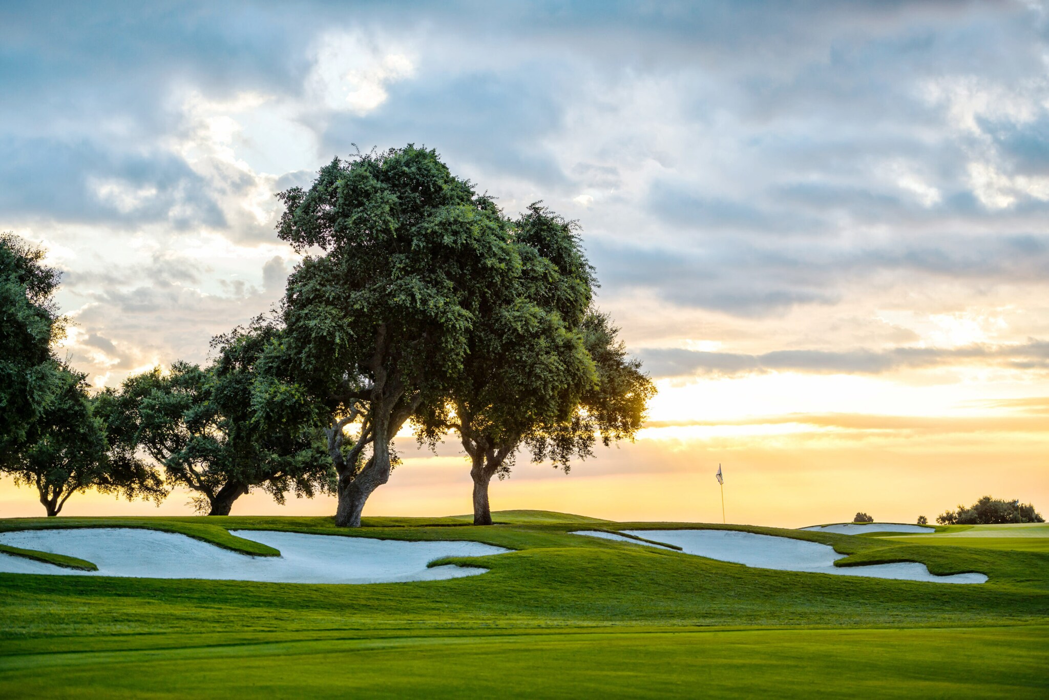 Ein Golfplatz mit Bäumen bei Sonnenuntergang