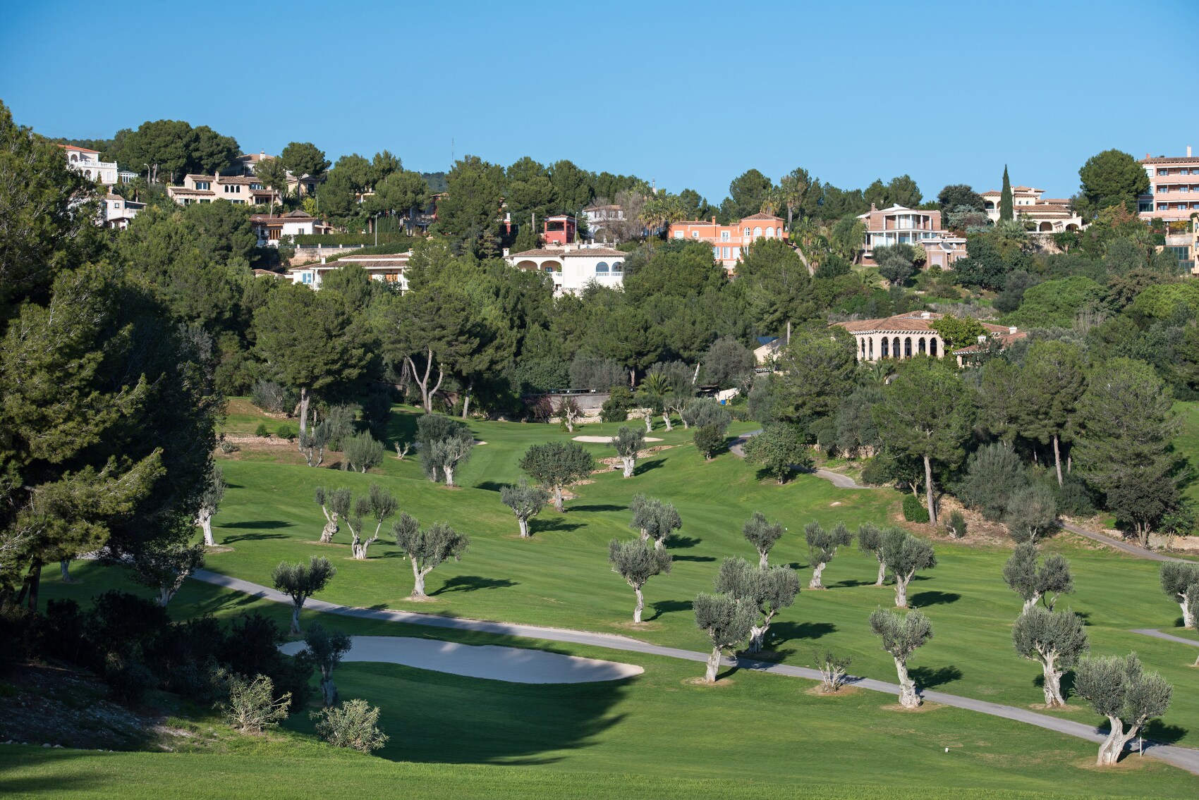 Ausschnitt des Golfklubs mit einem Bunker und vielen kleinen Olivenbäumen, vor der Kulisse des Ortes Bendinat