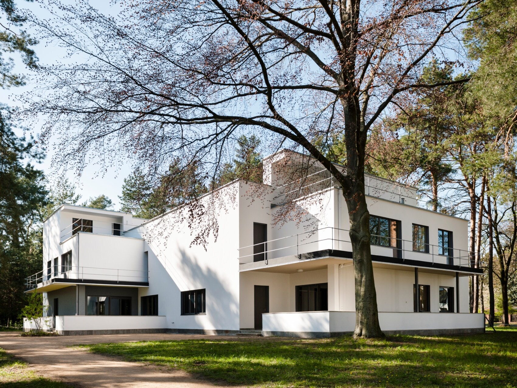 Ein weißes Doppelhaus im Bauhaus-Stil umgeben von Bäumen Ein weißes Doppelhaus im Bauhaus-Stil umgeben von Bäumen