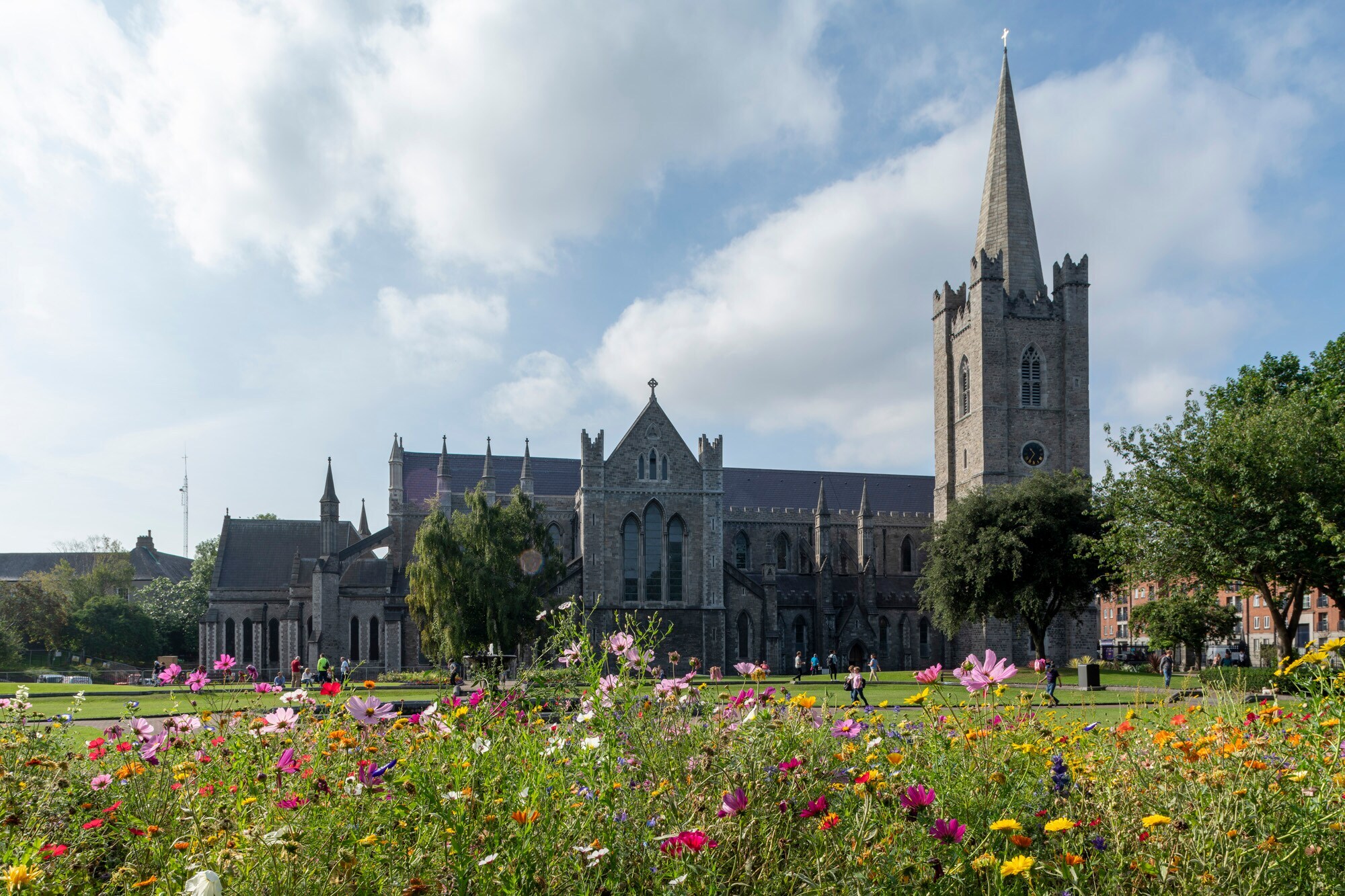 Die Saint Patrick’s Cathedral mit einer Blumenwiese im Vordergrund