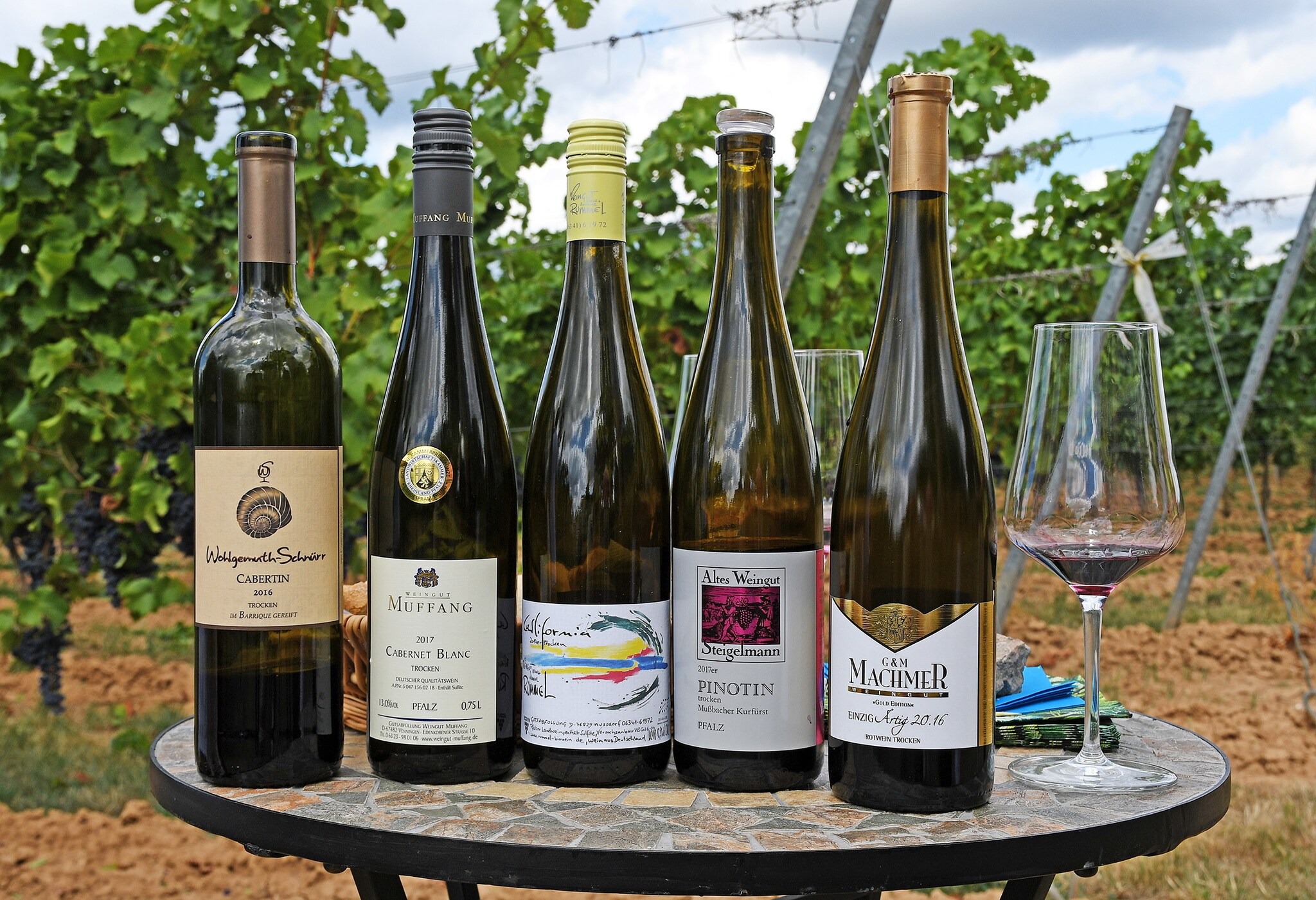 Fünf Weißweinflaschen neuer Rebsorten aufgereiht auf einem Tisch vor einem Weinberg Fünf Weißweinflaschen neuer Rebsorten aufgereiht auf einem Tisch vor einem Weinberg