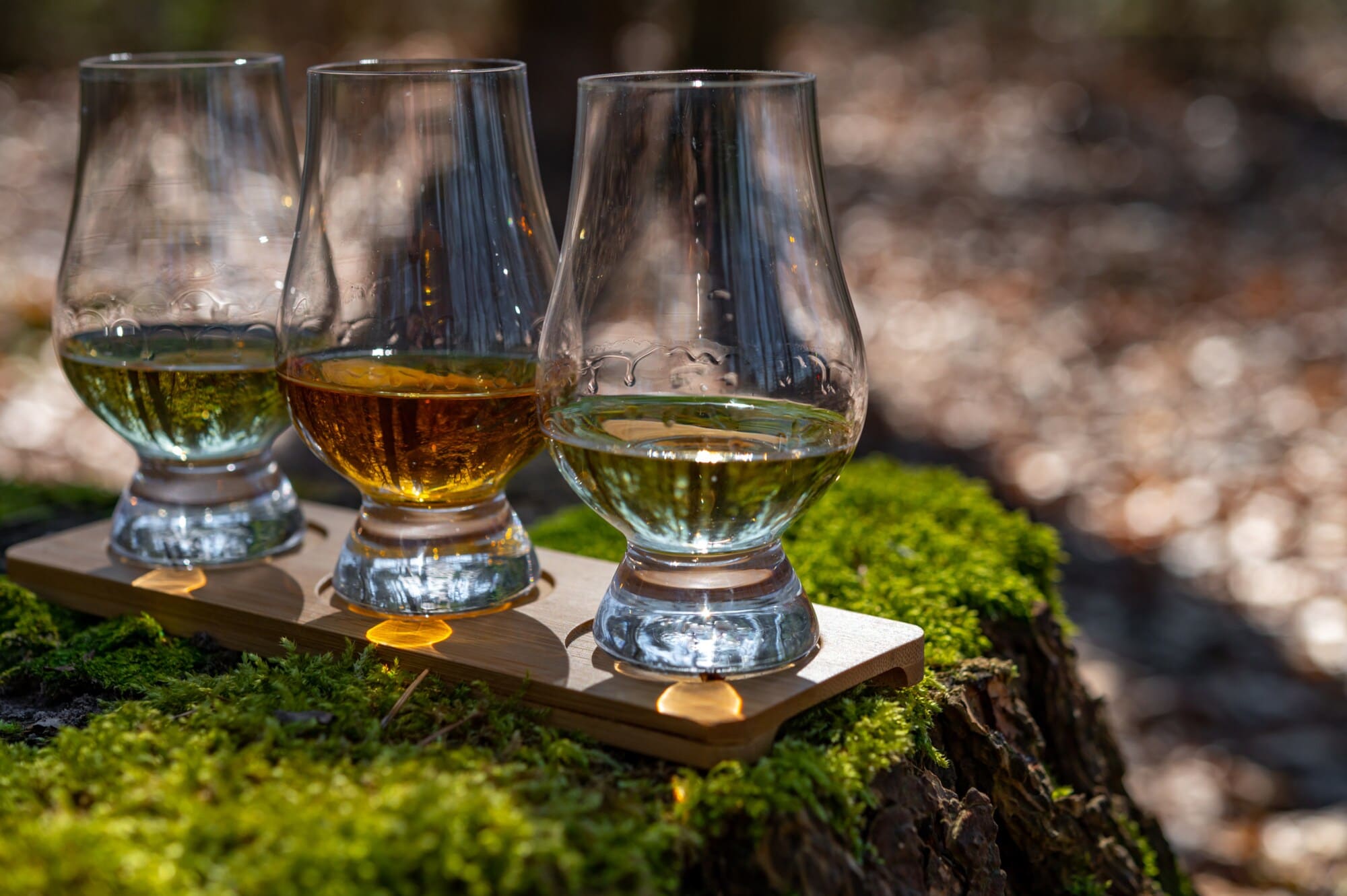 Drei Whiskygläser stehen nebeneinander auf einem Holzbrett, das auf einem bemoosten Baumstumpf platziert ist Drei Whiskygläser stehen nebeneinander auf einem Holzbrett, das auf einem bemoosten Baumstumpf platziert ist