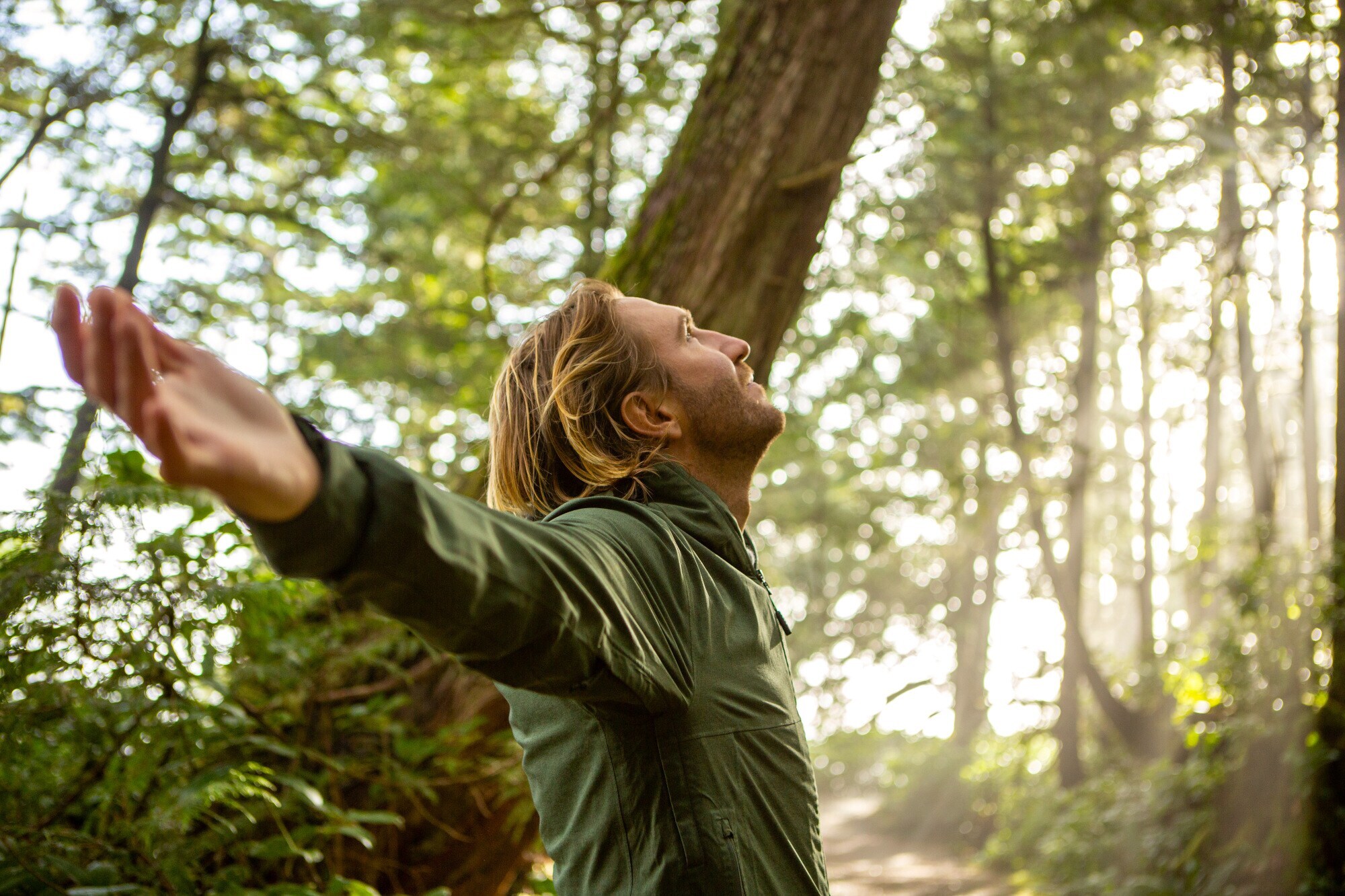 Eine Person steht im Wald, streckt die Arme von sich und blickt dabei nach oben