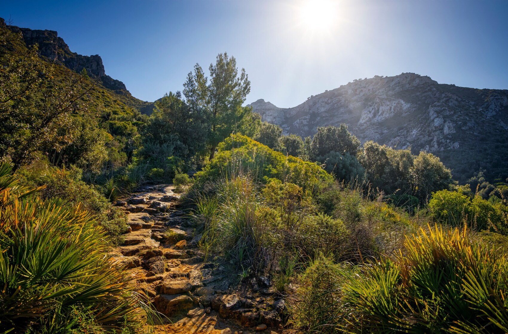 Ein Wanderweg im Nationalpark Llevant, der zwischen Büshcen hindurch nach oben führt