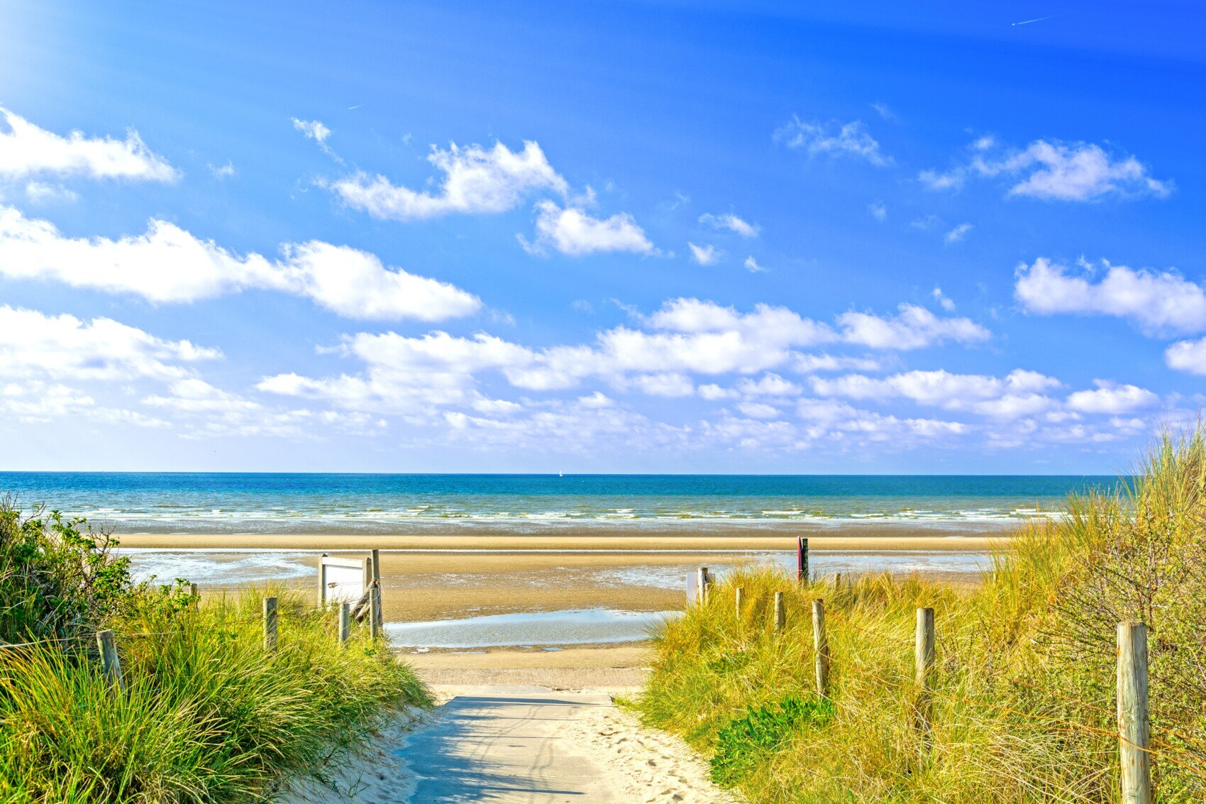 Blick auf Dünen, Strand und Meer