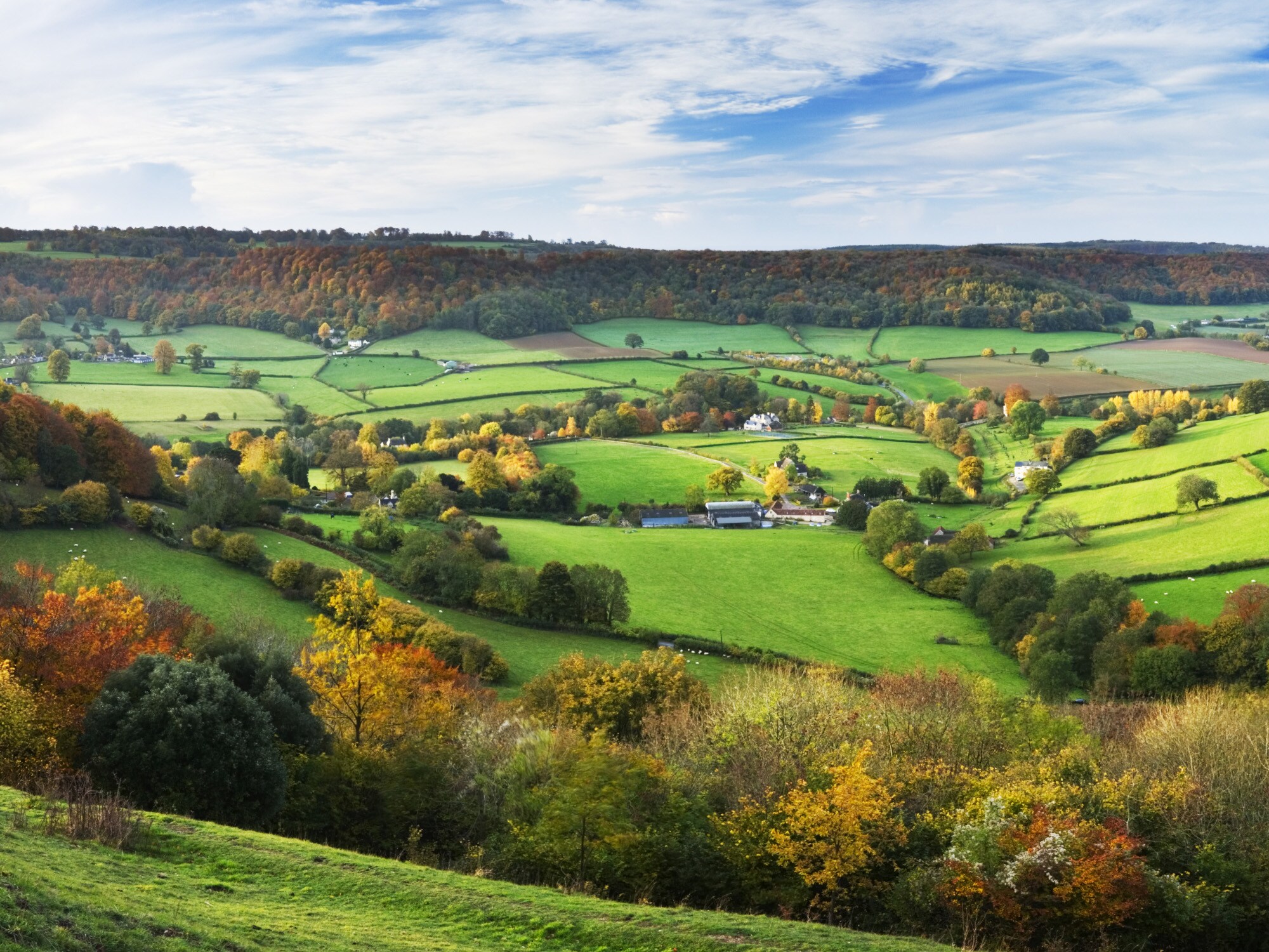 Weitläufige, grüne Hügellandschaft