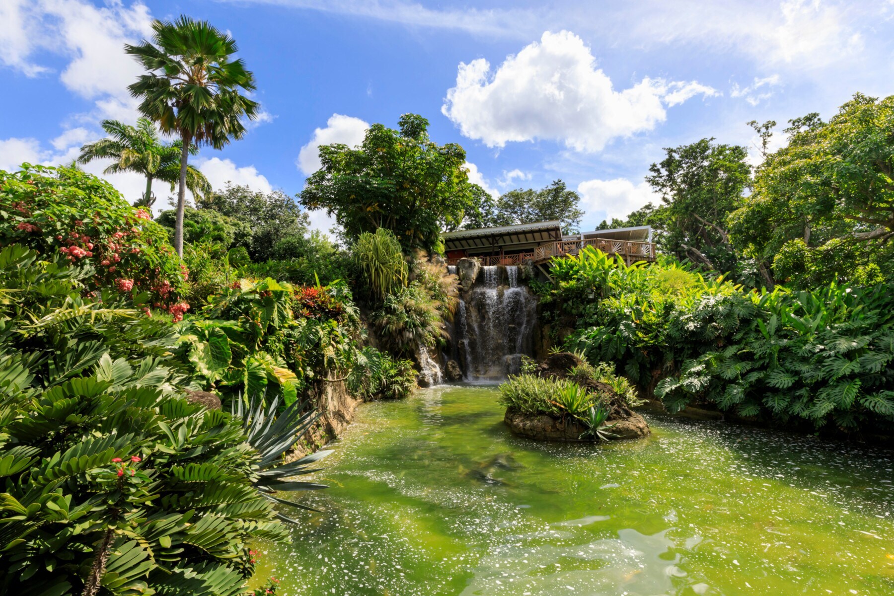 Botanischer Garten mit tropischer Vegetation um einen Teich mit Wasserfall
