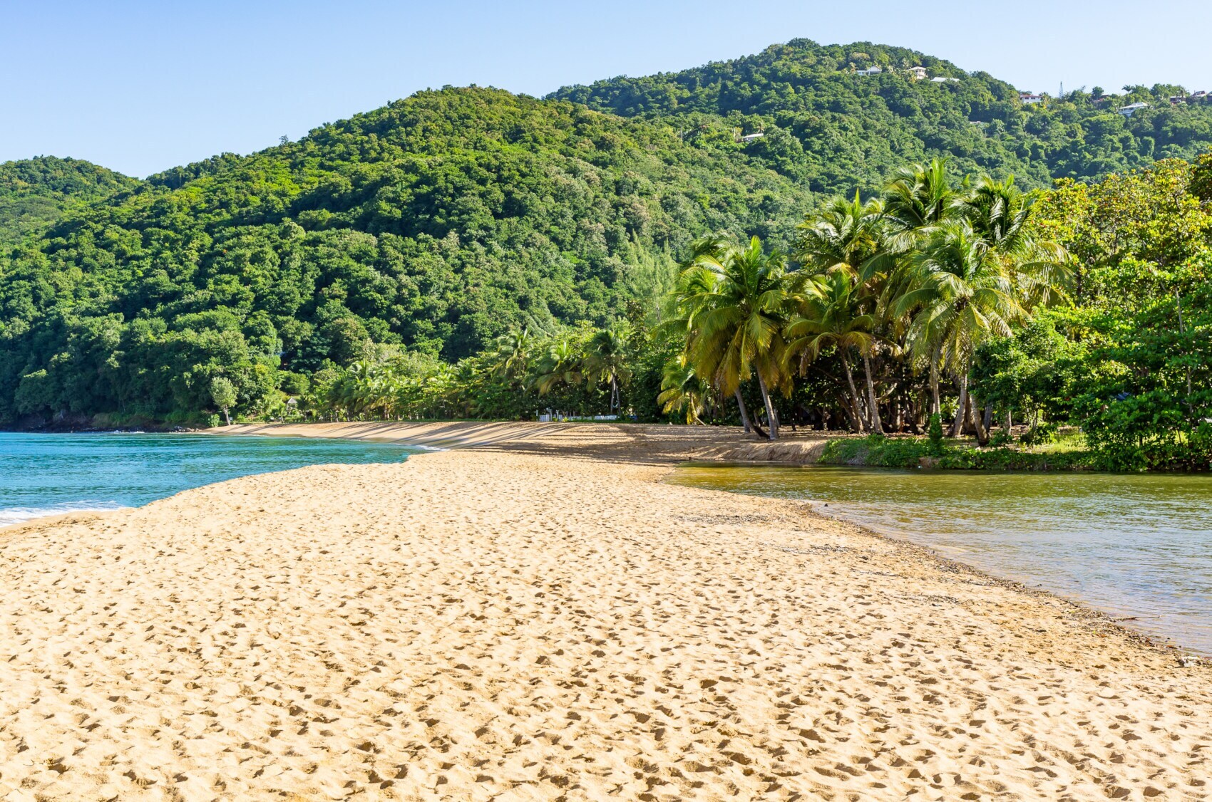 Weitläufiger, menschenleerer Sandstrand vor begrünten Hügeln mit tropischer Vegetation