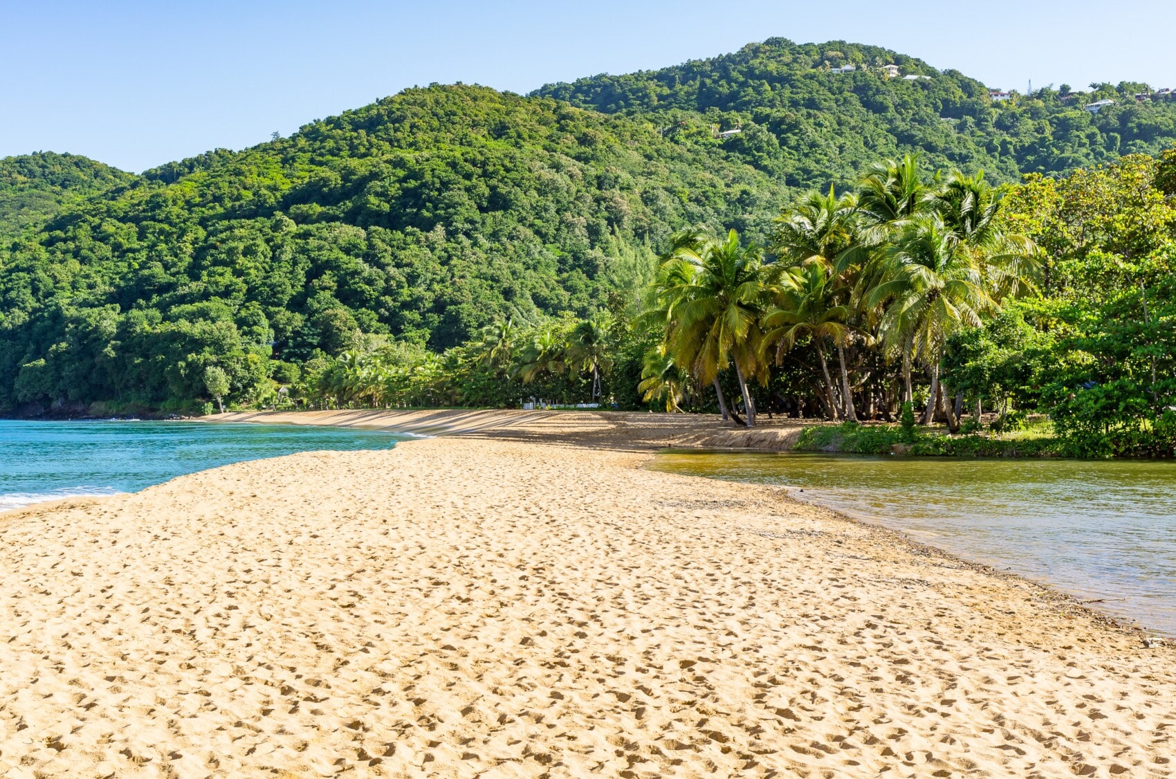 Weitläufiger, menschenleerer Sandstrand vor begrünten Hügeln mit tropischer Vegetation Weitläufiger, menschenleerer Sandstrand vor begrünten Hügeln mit tropischer Vegetation
