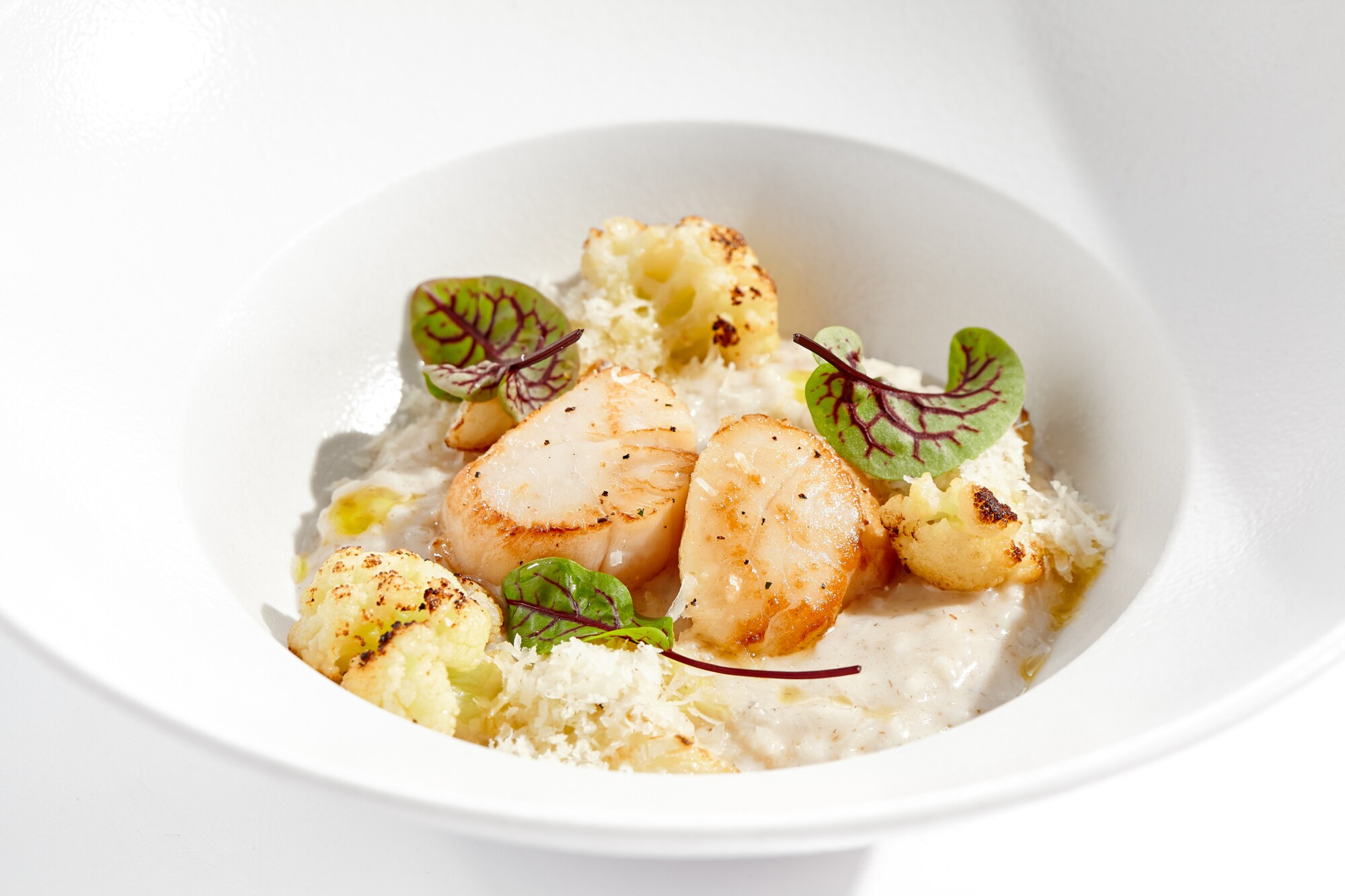 Risotto mit Blumenkohl und Jakobsmuscheln