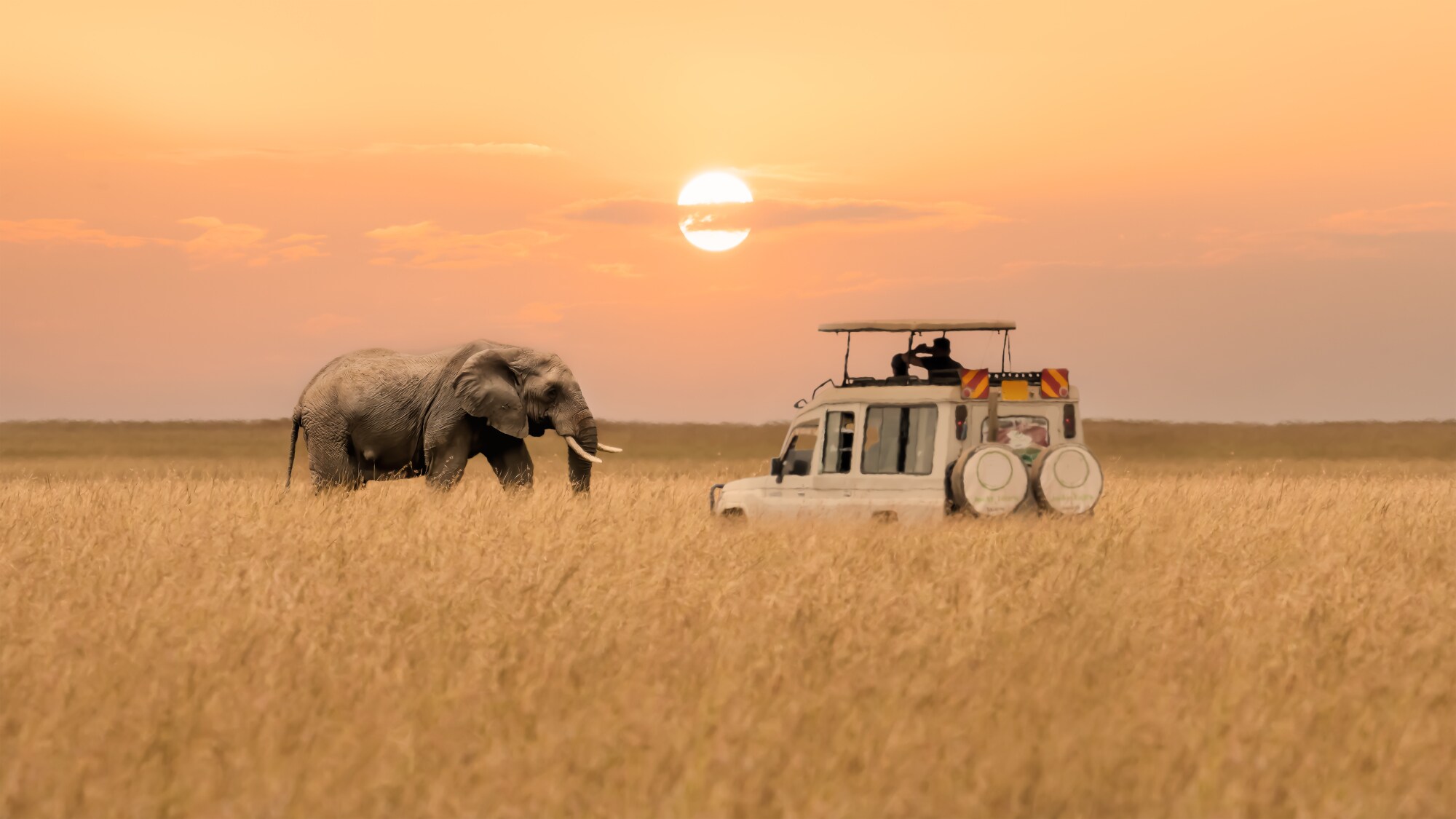 Ein Afrikanischer Elefant, der in der Savanne bei untergehender Sonne auf einen Jeep zugeht Ein Afrikanischer Elefant, der in der Savanne bei untergehender Sonne auf einen Jeep zugeht