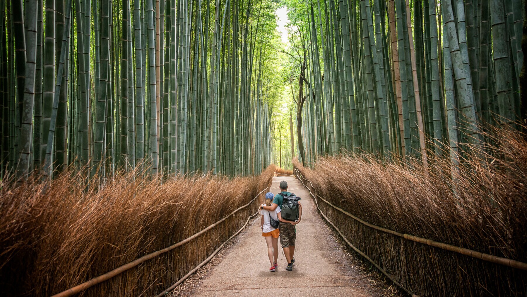 Rückansicht eines sich umarmenden Paares mit Rucksäcken, die auf einem Weg durch einen Bambushain laufen Rückansicht eines sich umarmenden Paares mit Rucksäcken, die auf einem Weg durch einen Bambushain laufen
