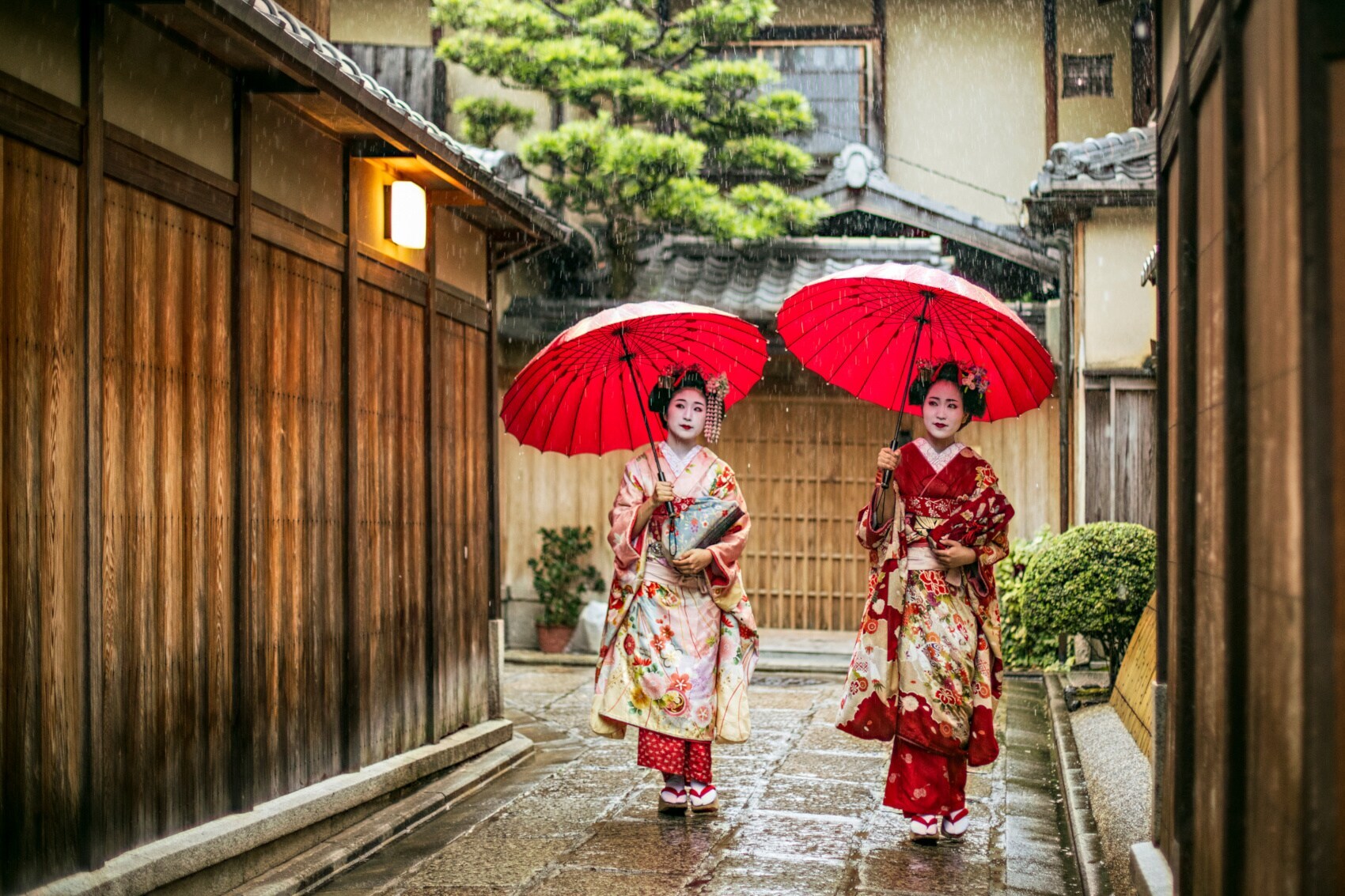 Geishas holding red umZwei junge Geishas in rot-weiß-gemusterten Kimonos und weiß geschminkten Gesichtern laufen mit roten Regenschirmen durch eine Gasse in Kyoto Zwei junge Geishas in rot-weiß-gemusterten Kimonos und weiß geschminkten Gesichtern laufen mit roten Regenschirmen durch eine Gasse in Kyoto