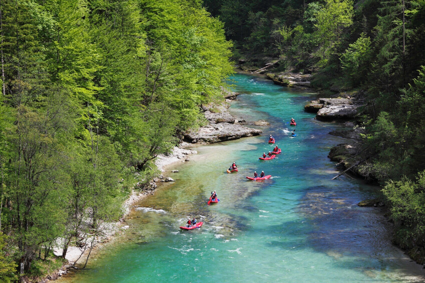 Mehrere Personen auf roten Schlauchbooten fahren über einen türkisgrünen Wildwasserfluss durch ein Waldstück