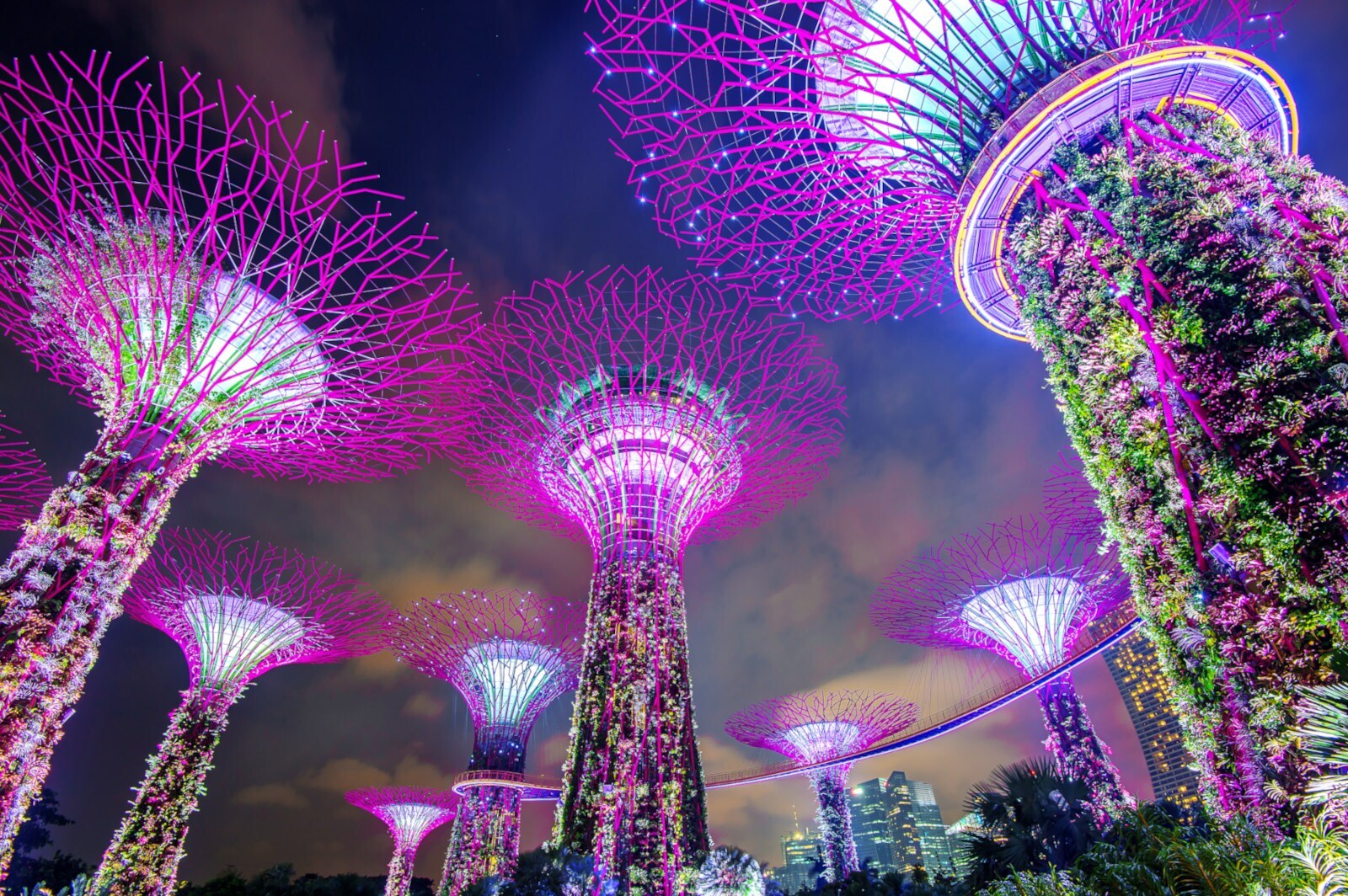 Beleuchtete vertikale Gärten an riesigen, künstlichen Baumskulpturen im Supertree Grove in Singapur bei Nacht