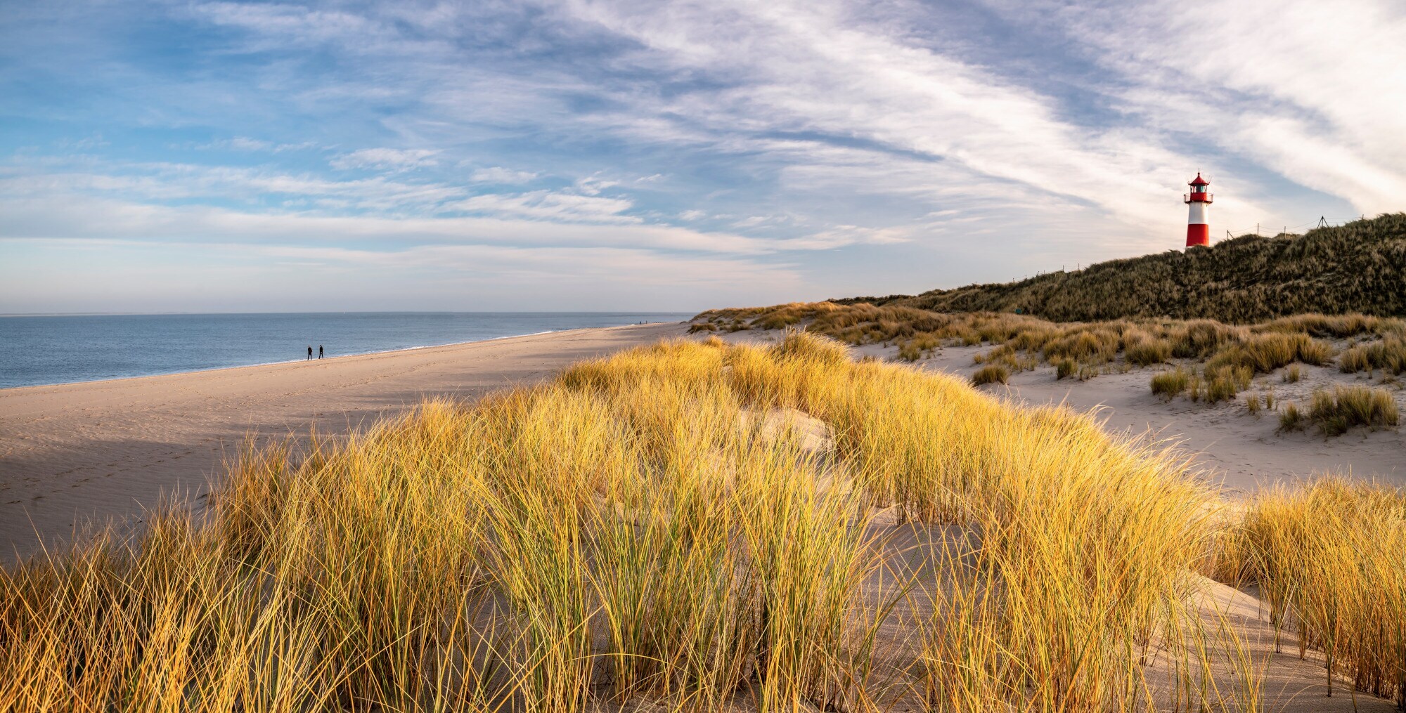 Panorama eines langen Sandstrandes mit grasbewachsenen Sanddünen und einem Leuchtturm im Hintergrund