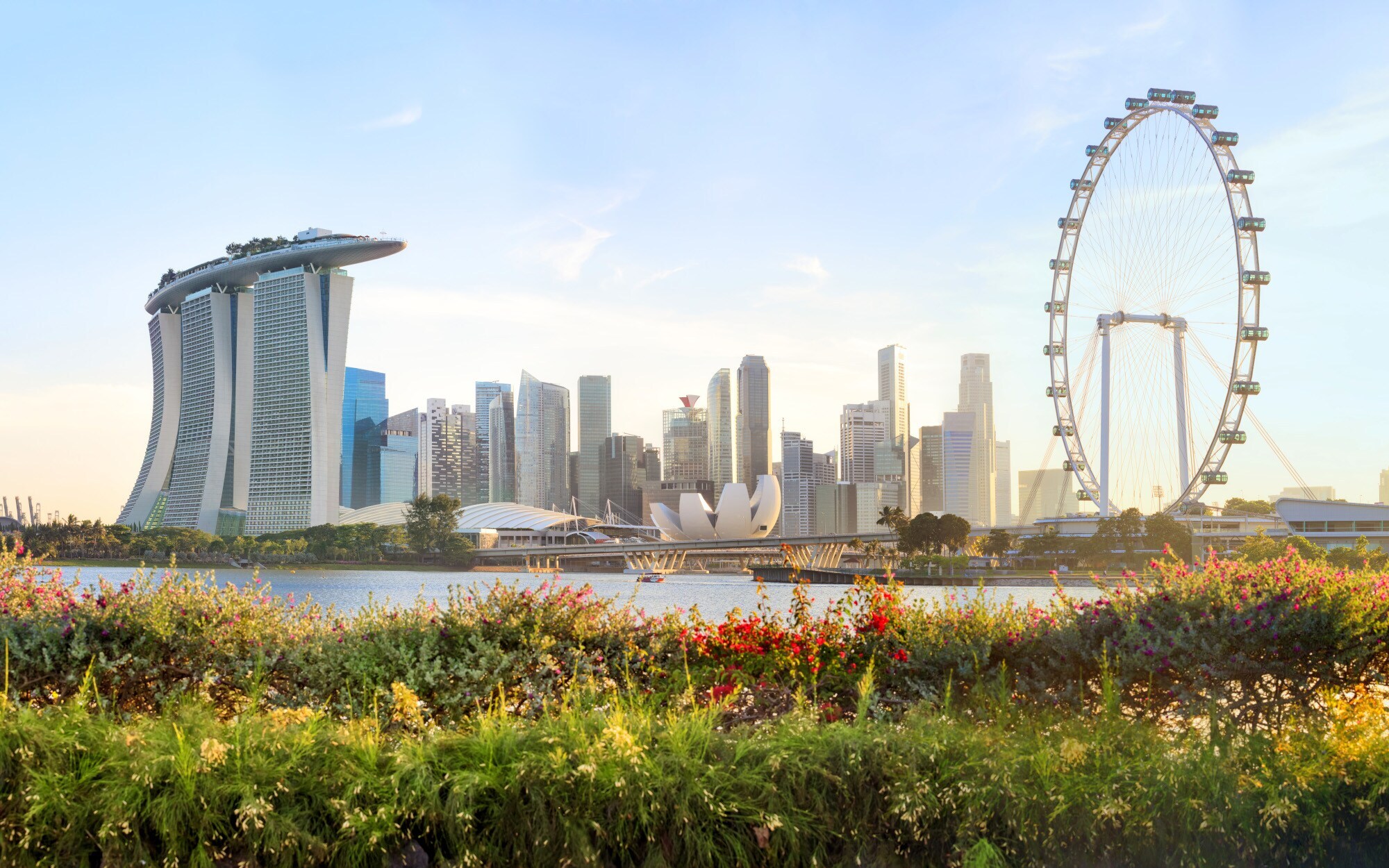 Skyline von Singapur mit Riesenrad, im Vordergrund ein begrünter Hügel mit Blumenwiese