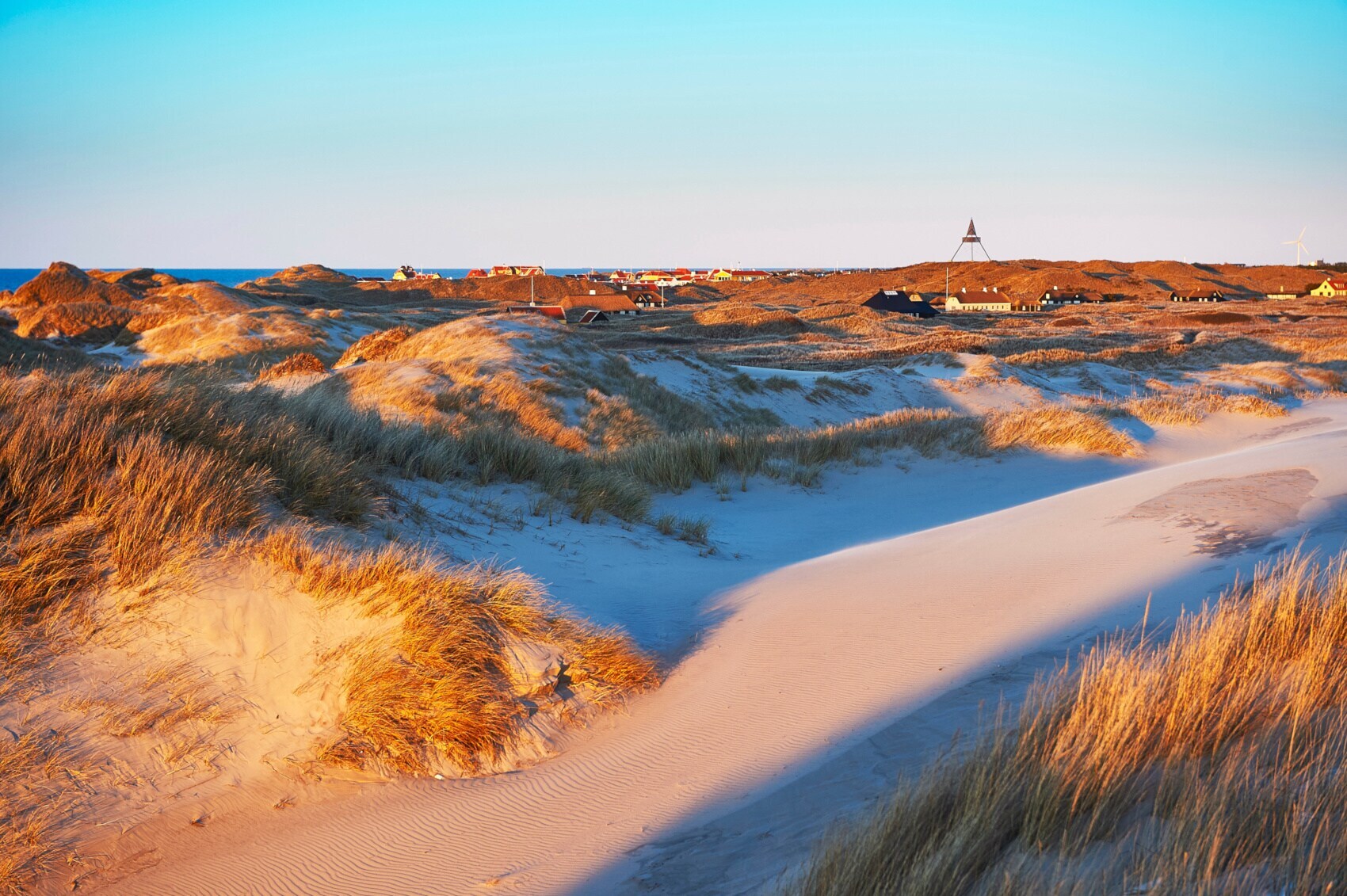 Blick über eine Dünenlandschaft in der Abendsonne
