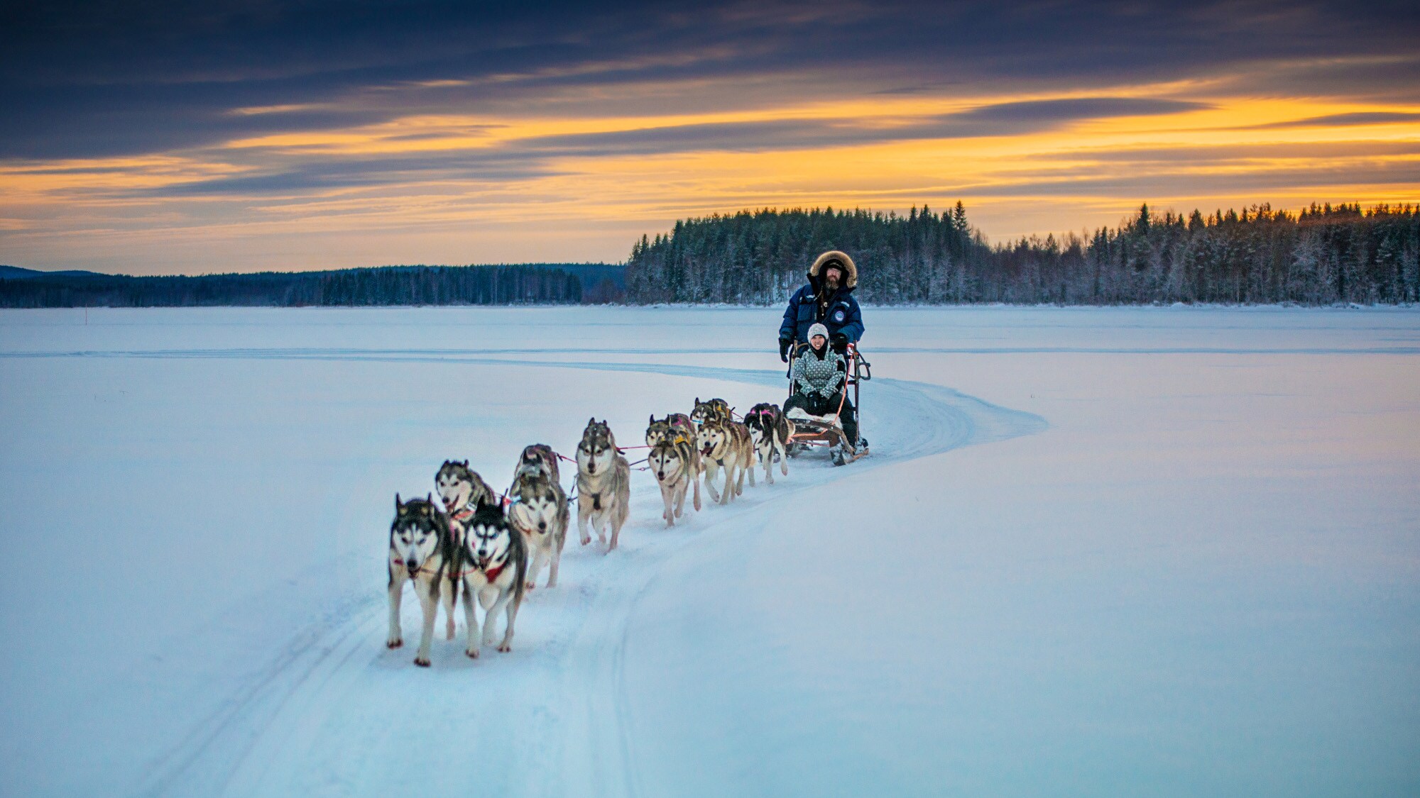 Ein Paar fährt mit einem Huskyschlitten durch eine Schneelandschaft in der Abenddämmerung