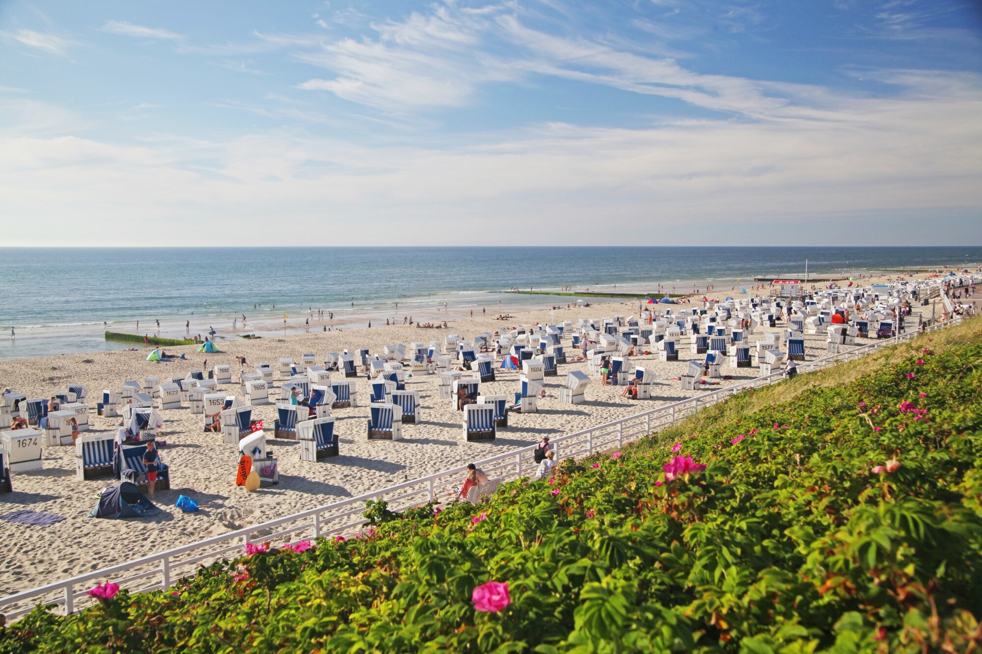 Panoramablick auf einen breiten Sandstrand mit vielen Strandkörben und einigen Personen von einer begrünten Düne im Vordergrund Panoramablick auf einen breiten Sandstrand mit vielen Strandkörben und einigen Personen von einer begrünten Düne im Vordergrund