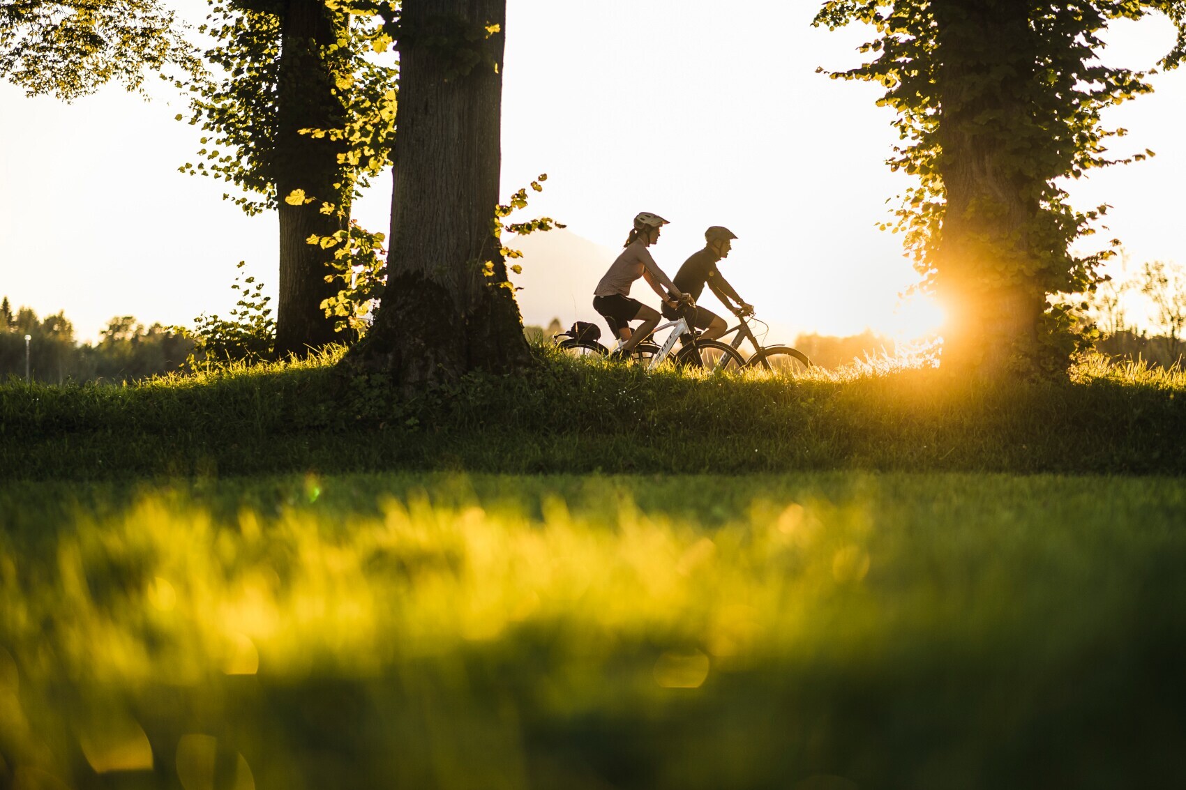 Zwei Menschen auf Rädern fahren im Licht der Morgensonne eine Alle entlang