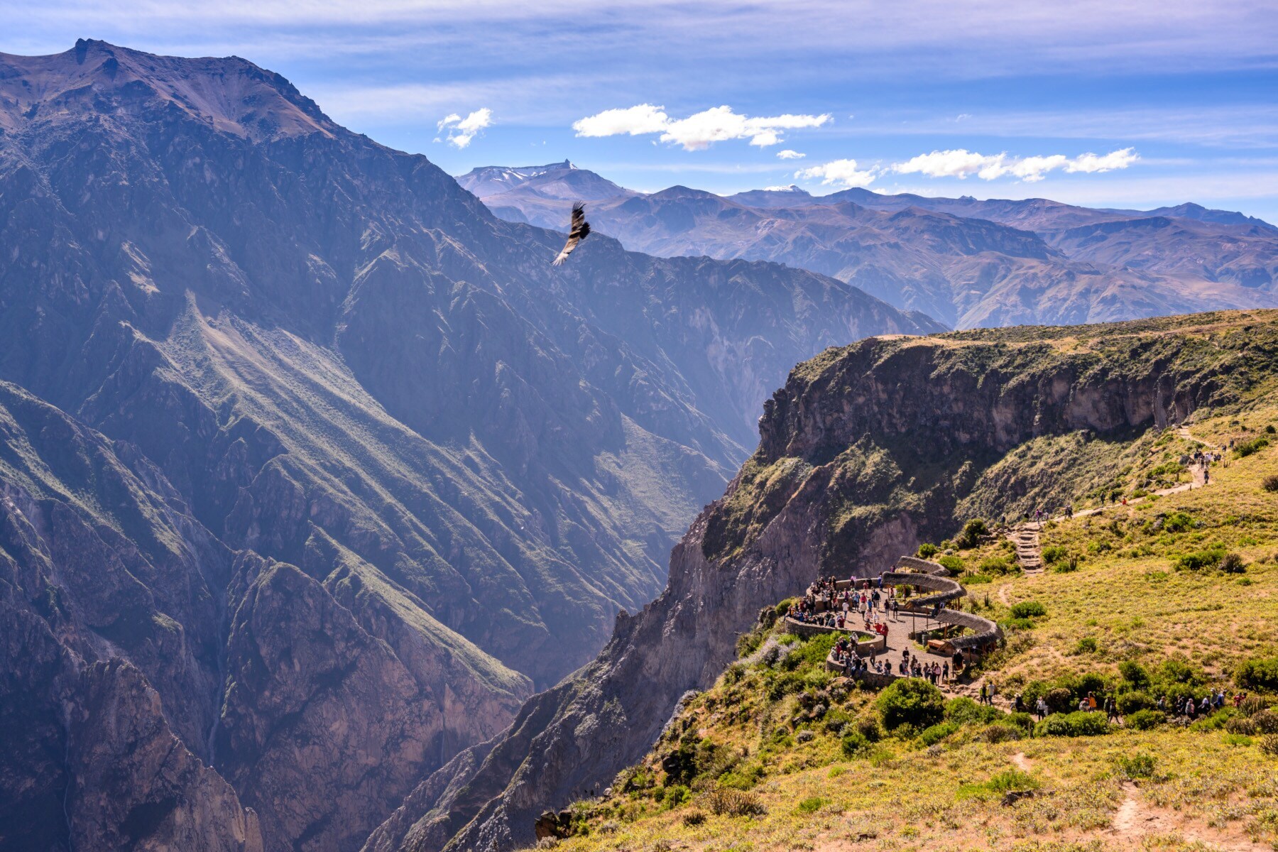 Bergpanorama des Colca Canyon mit Menschen auf einer Aussichtsplattform, über die ein Andenkondor fliegt Bergpanorama des Colca Canyon mit Menschen auf einer Aussichtsplattform, über die ein Andenkondor fliegt