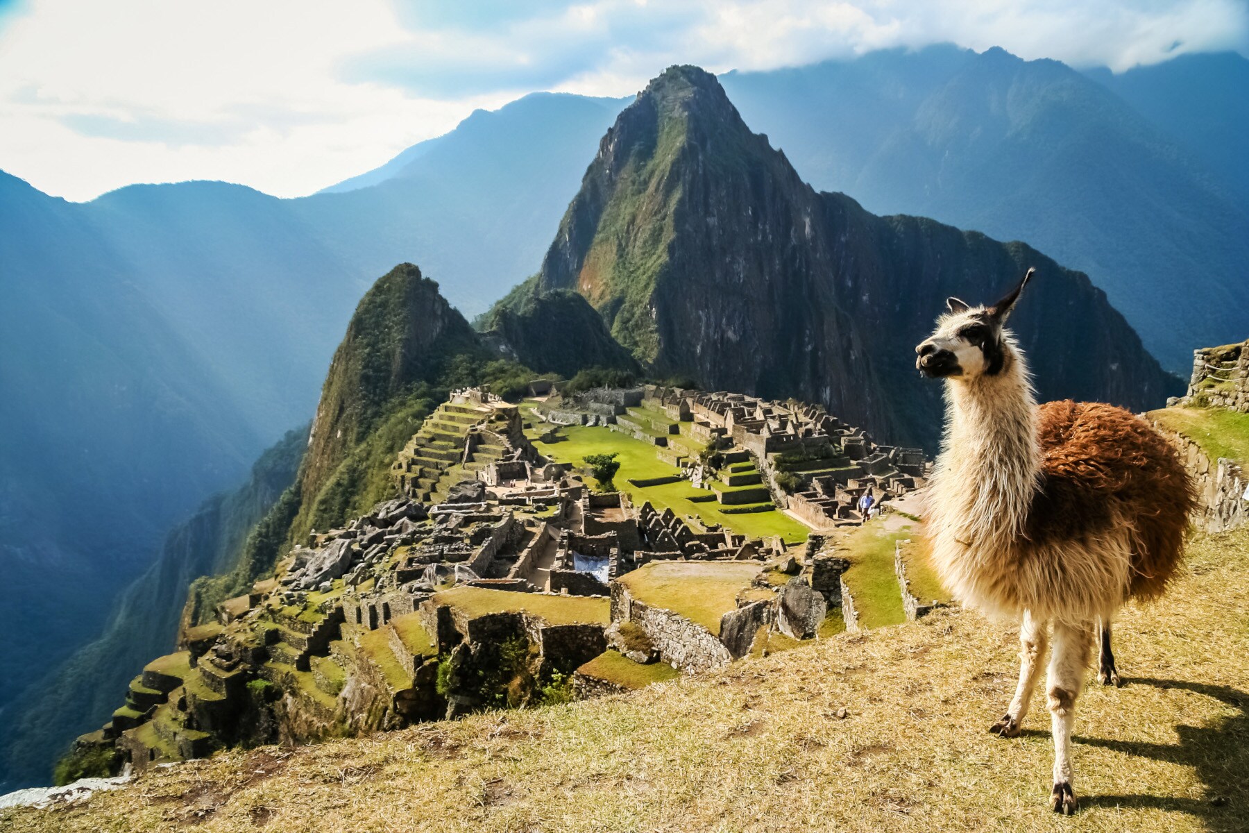 Panorama der Inka-Ruinenstätte Machu Picchu im Hochgebirge von Peru mit einem Lama im Vordergrund
