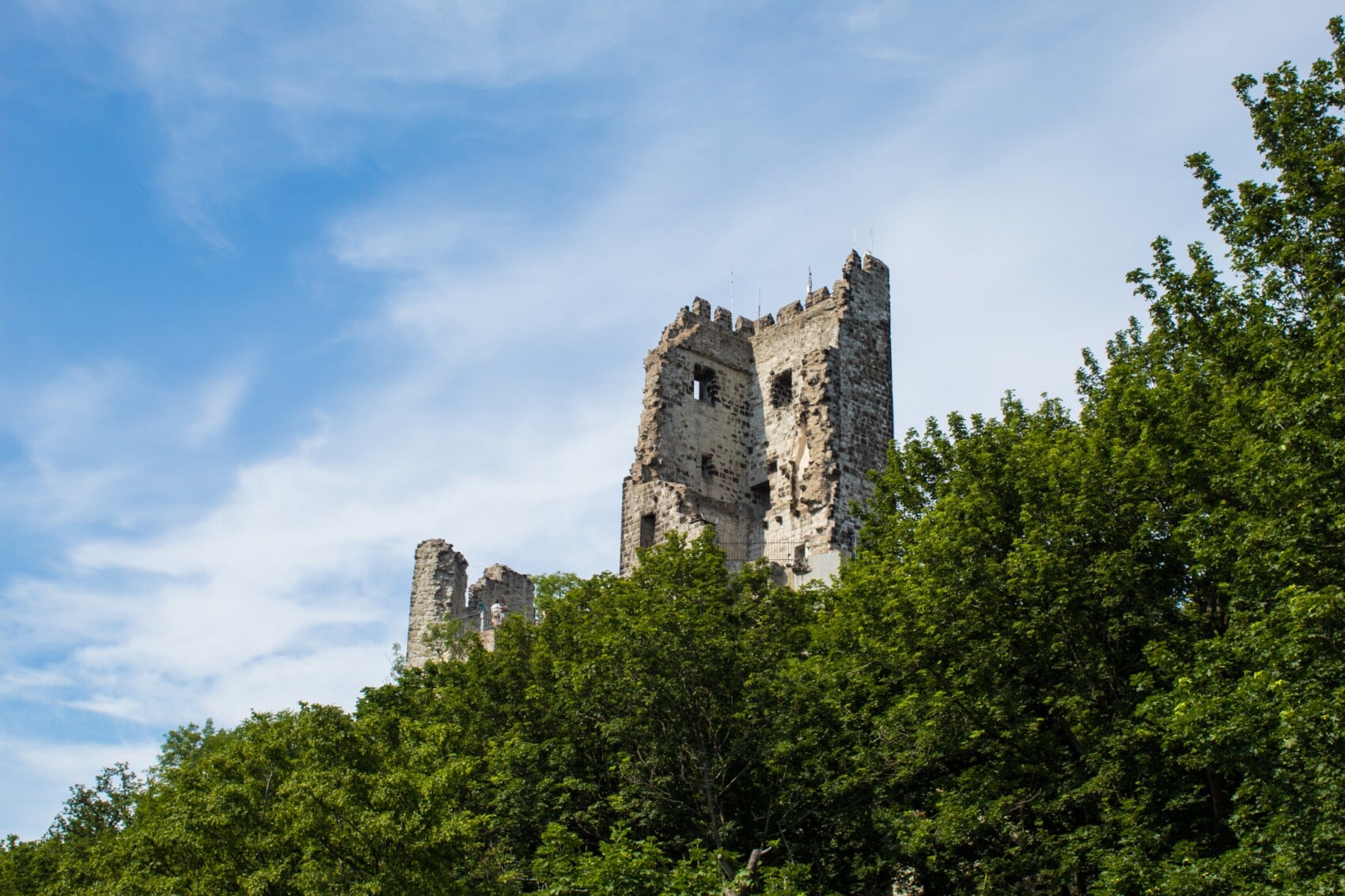 Ruine der mittelalterlichen Burg Drachenfels Ruine der mittelalterlichen Burg Drachenfels
