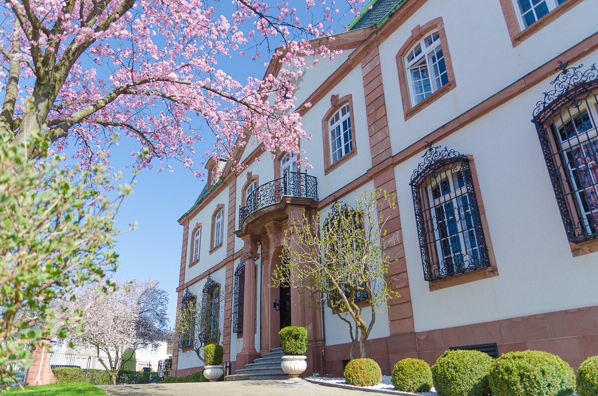 Die Fassade einer edlen Villa mit blühendem Vorgarten Die Fassade einer edlen Villa mit blühendem Vorgarten