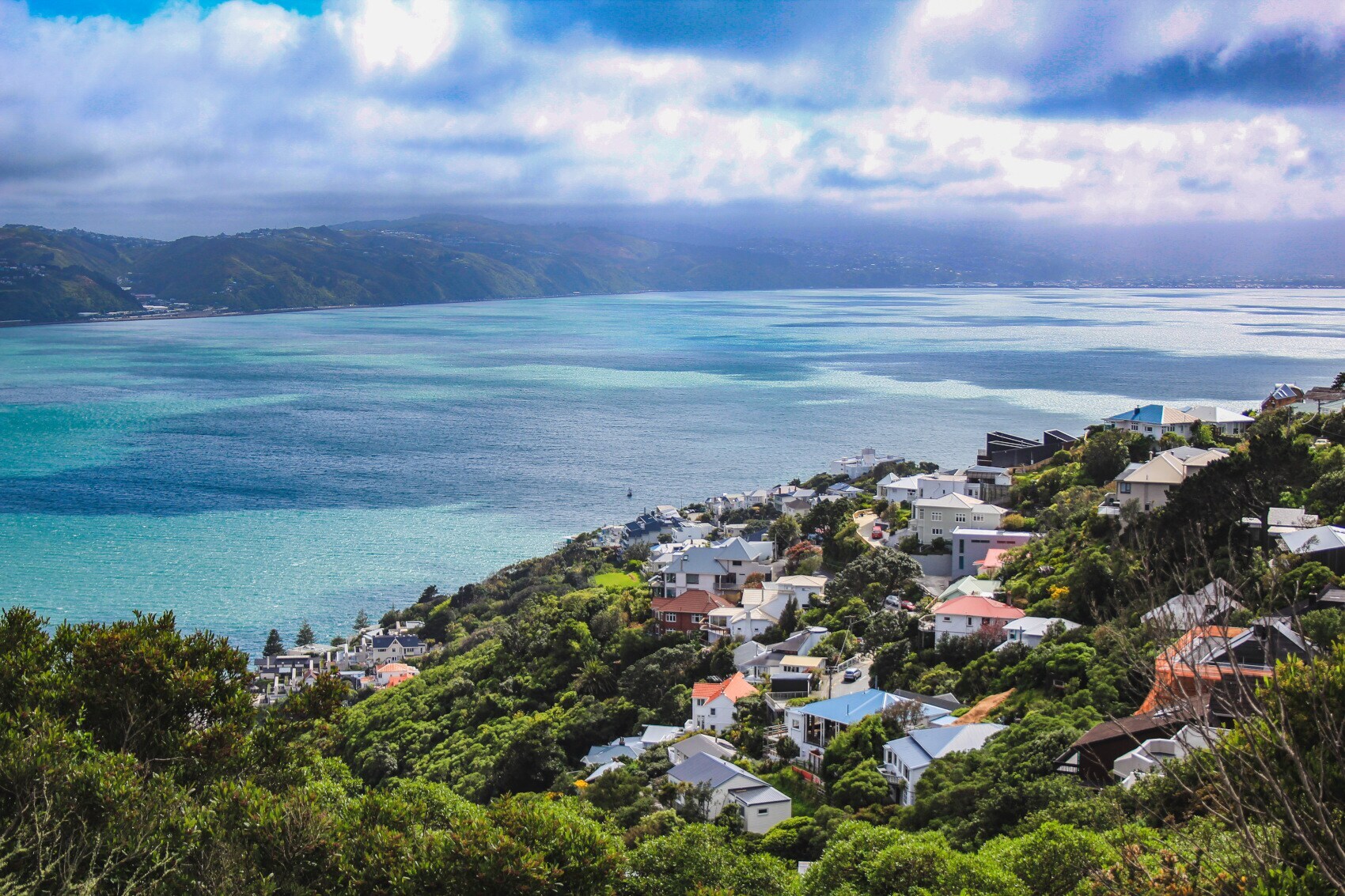 Blick über die Hauptstadt Wellington in das Meer vom Mount Victoria Blick über die Hauptstadt Wellington in das Meer vom Mount Victoria