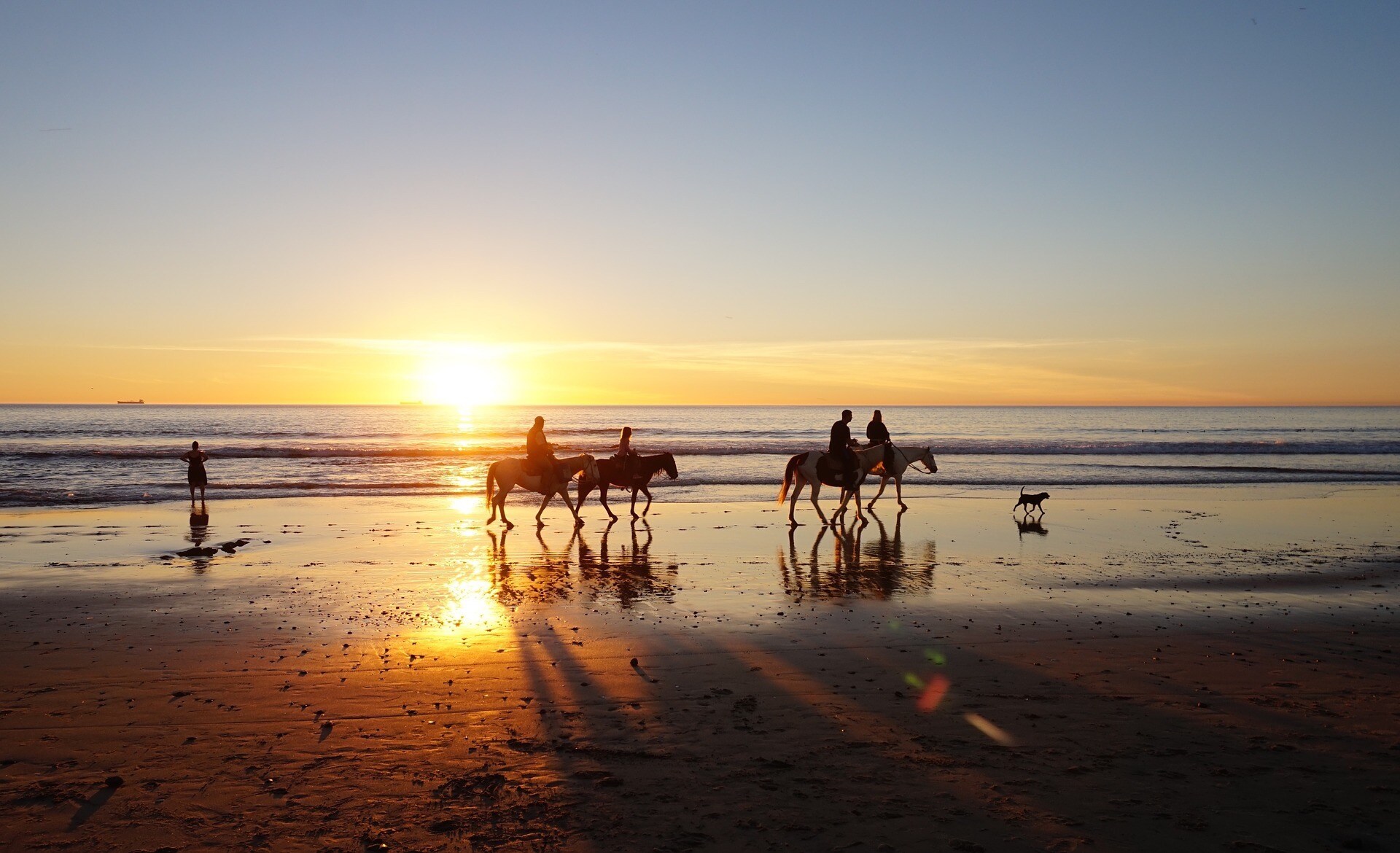 Eine Gruppe Reiter samt Hund am Strand bei Sonnenuntergang
