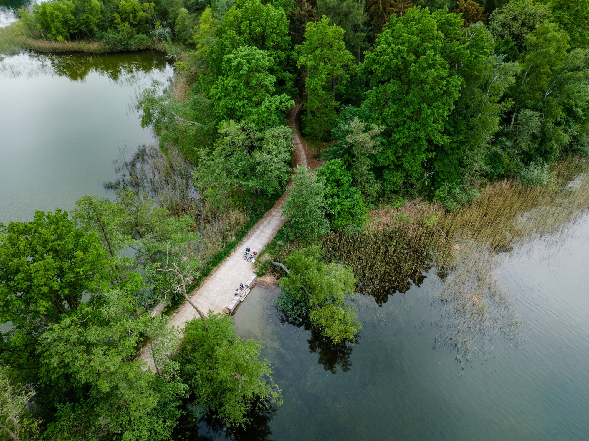 Radweg zwischen zwei Wasserflächen Radweg zwischen zwei Wasserflächen