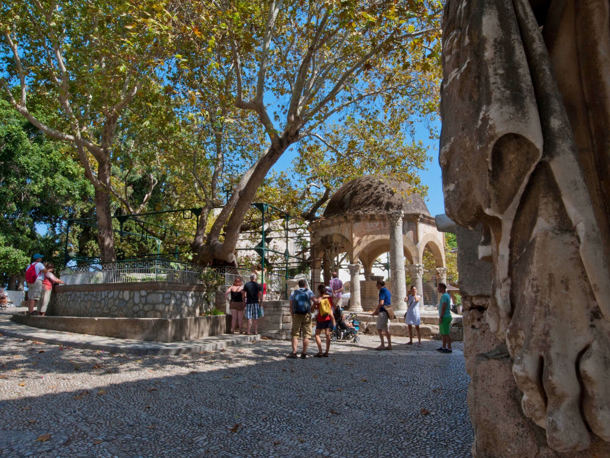 Mehrere Personen stehen um eine von Metallstangen gestützte Platane auf einem Platz