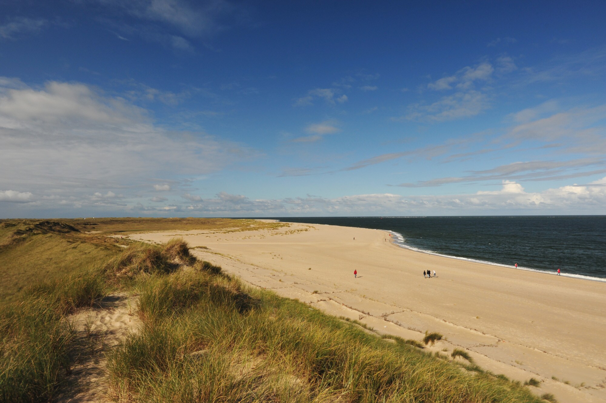 Grasbewachsene Dünenlandschaft an einem weitläufigen Sandstrand