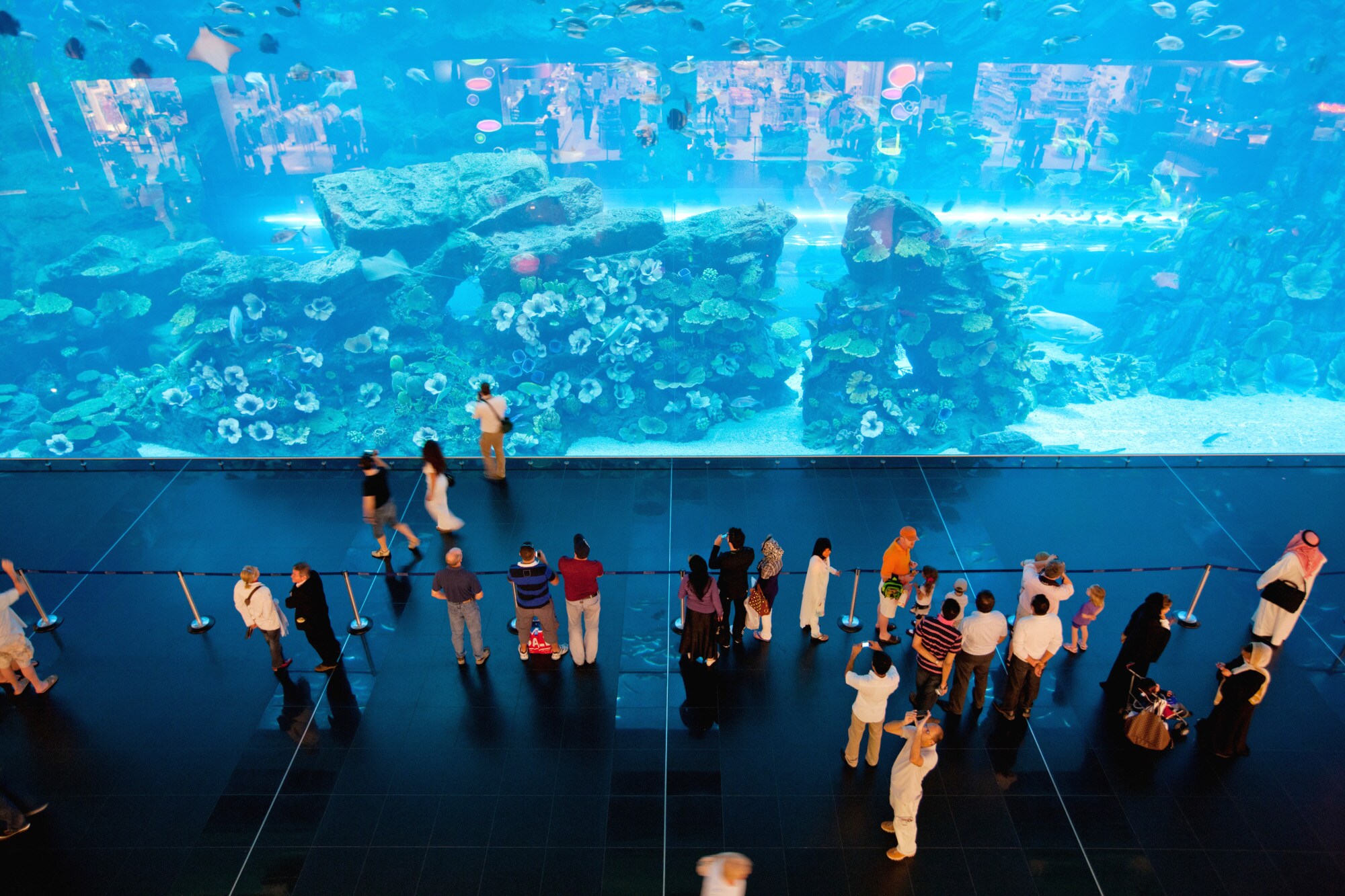 Personen vor einem großen Aquarium Personen vor einem großen Aquarium