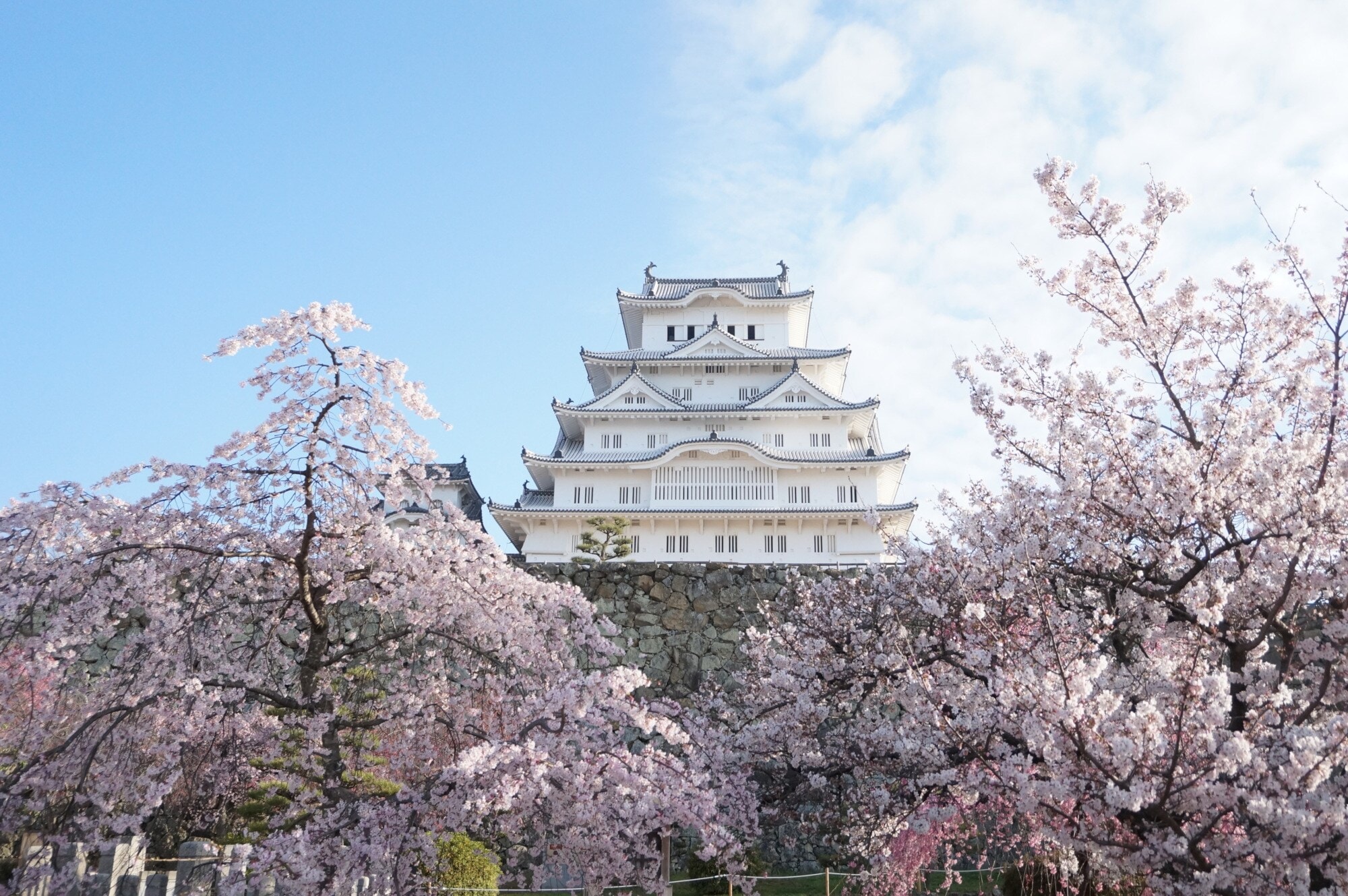 Die Burg Himeji in Japan zwischen blühenden Kirschbäumen Die Burg Himeji in Japan zwischen blühenden Kirschbäumen