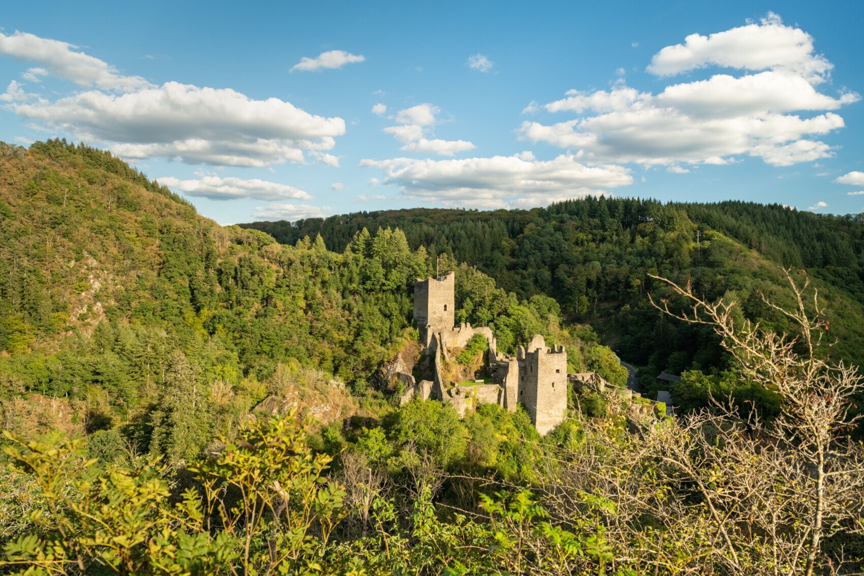 Eine mittelalterliche Burganlage in einer hügeligen Waldlandschaft