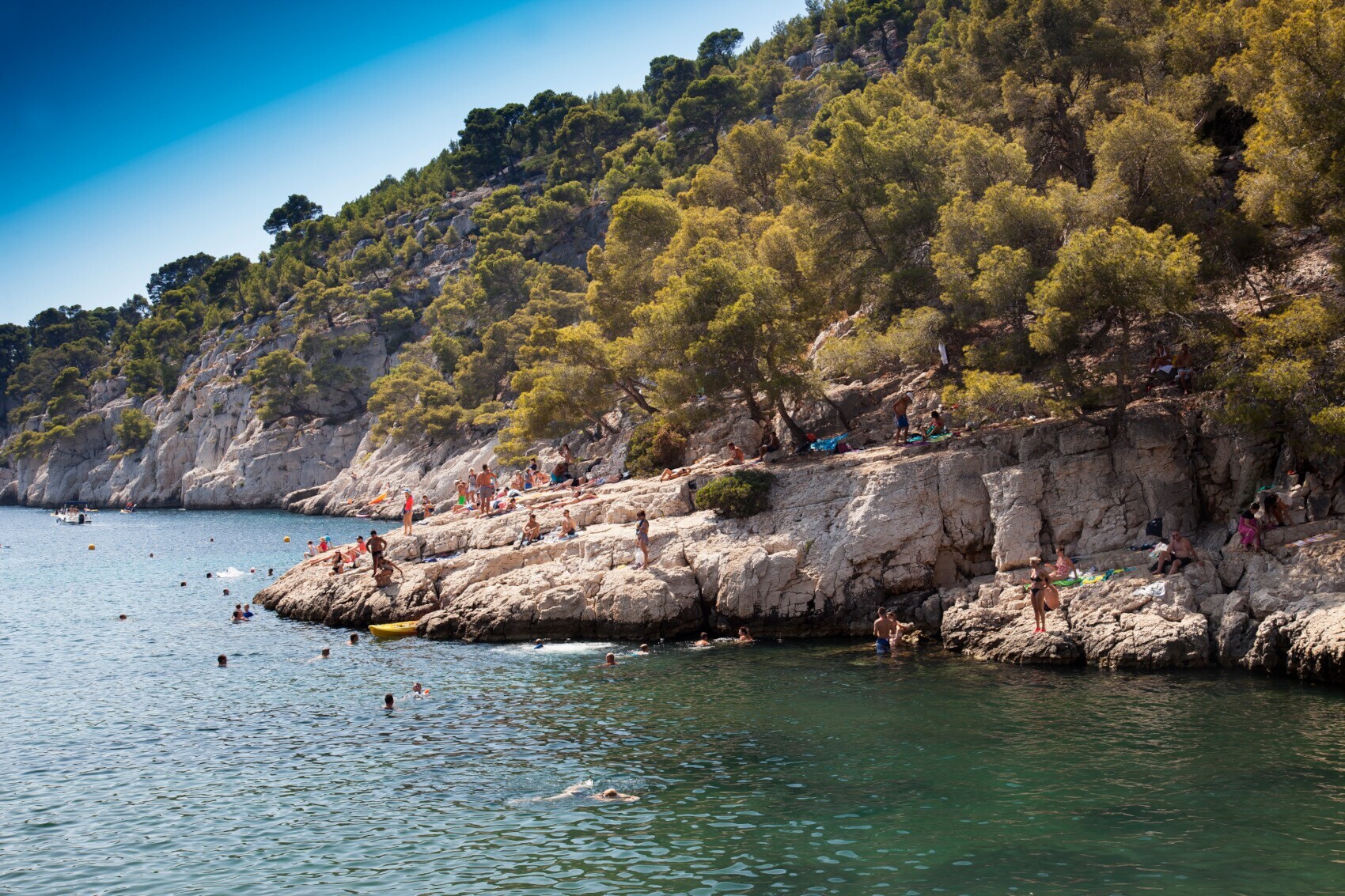 Bewachsene Felsen ragen ins Meer, in dem Menschen schwimmen