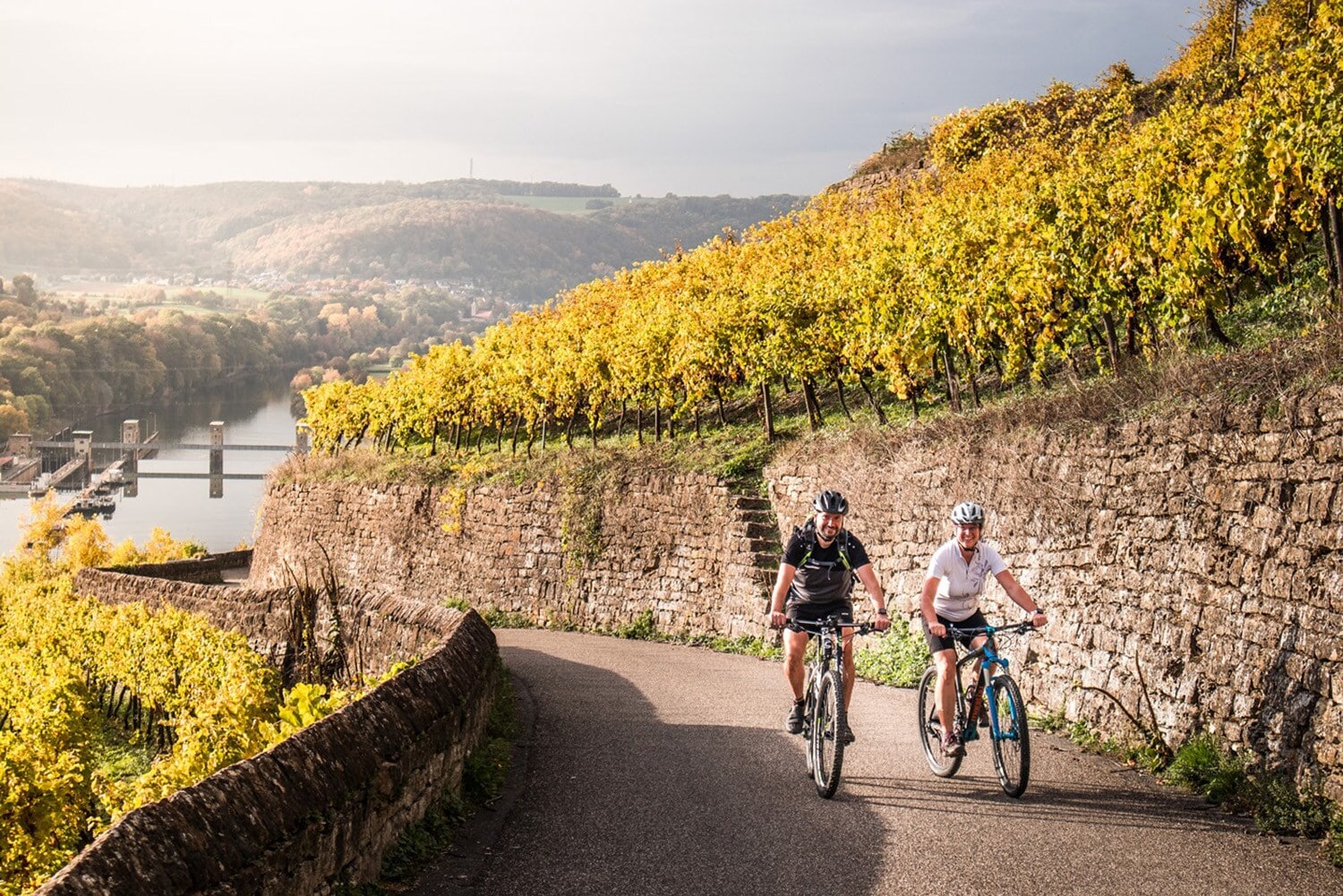 Zwei Radfahrende fahren auf einem asphaltierten Weg einen Weinberg oberhalb eines Flusstals hinauf Zwei Radfahrende fahren auf einem asphaltierten Weg einen Weinberg oberhalb eines Flusstals hinauf