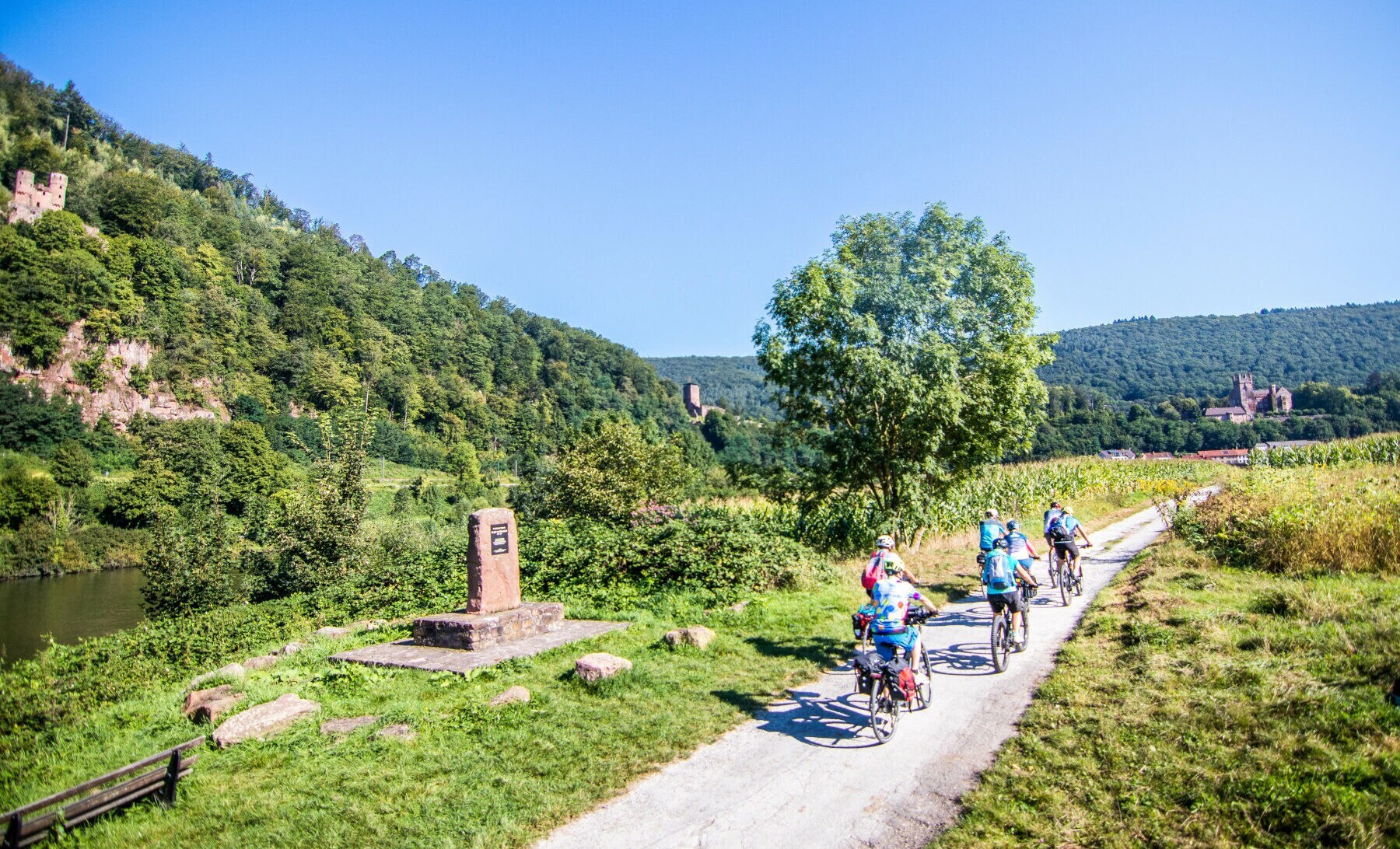 Rückansicht einer Radfahrergruppe, die auf einem flachen Weg durch eine grüne Landschaft entlang eines Flusses fährt