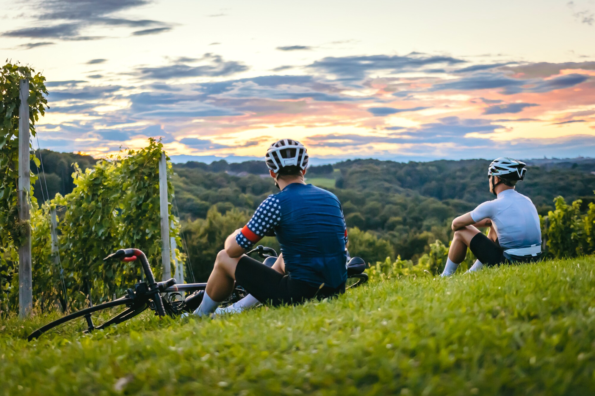 Rückenansicht zweier Personen in Fahrradkleidung, die auf einem Weinberg sitzen