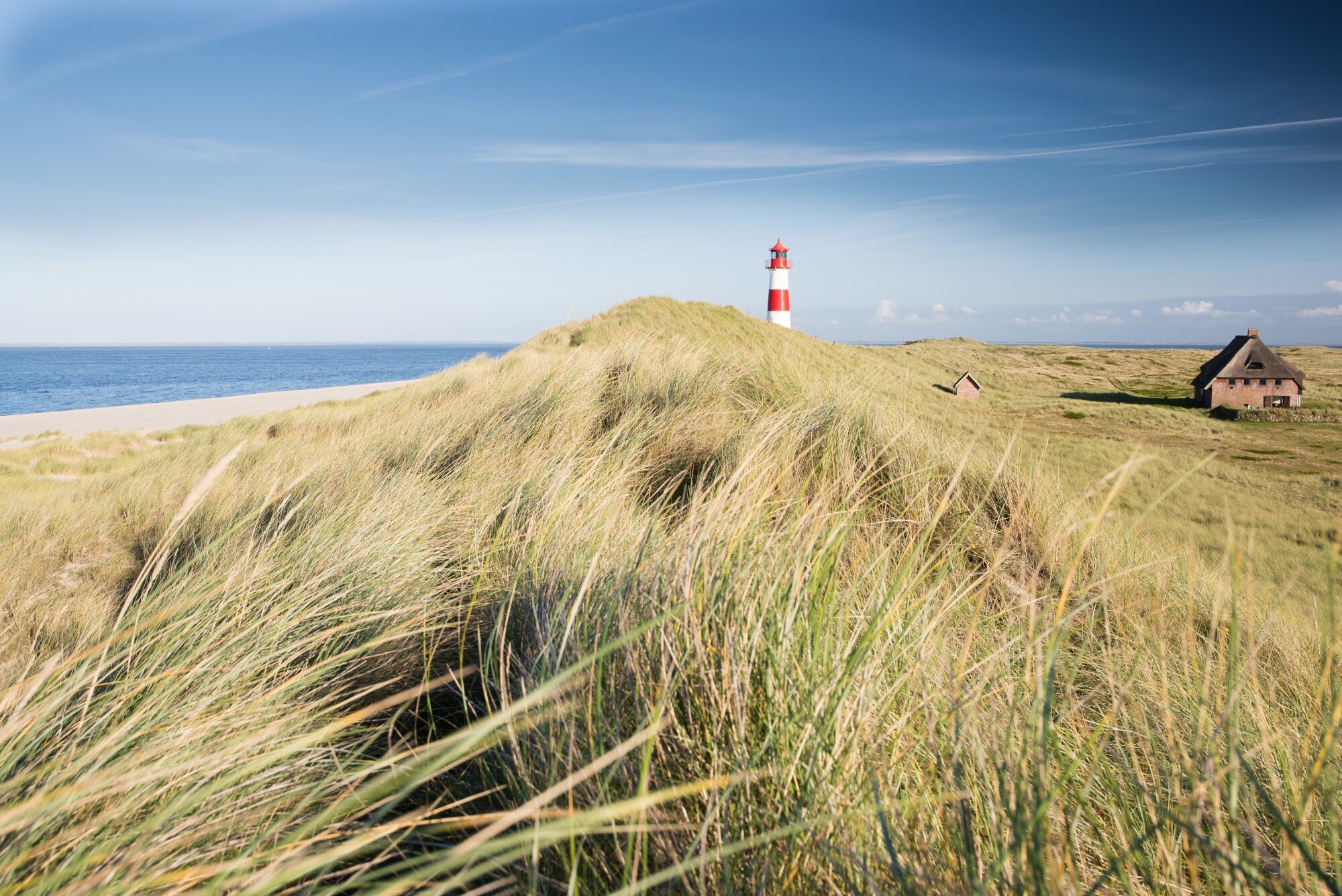 Menschenleere Grasdünenlandschaft am Meer mit einem rot-weiß gestreiften Leuchtturm und einem reetgedeckten Haus