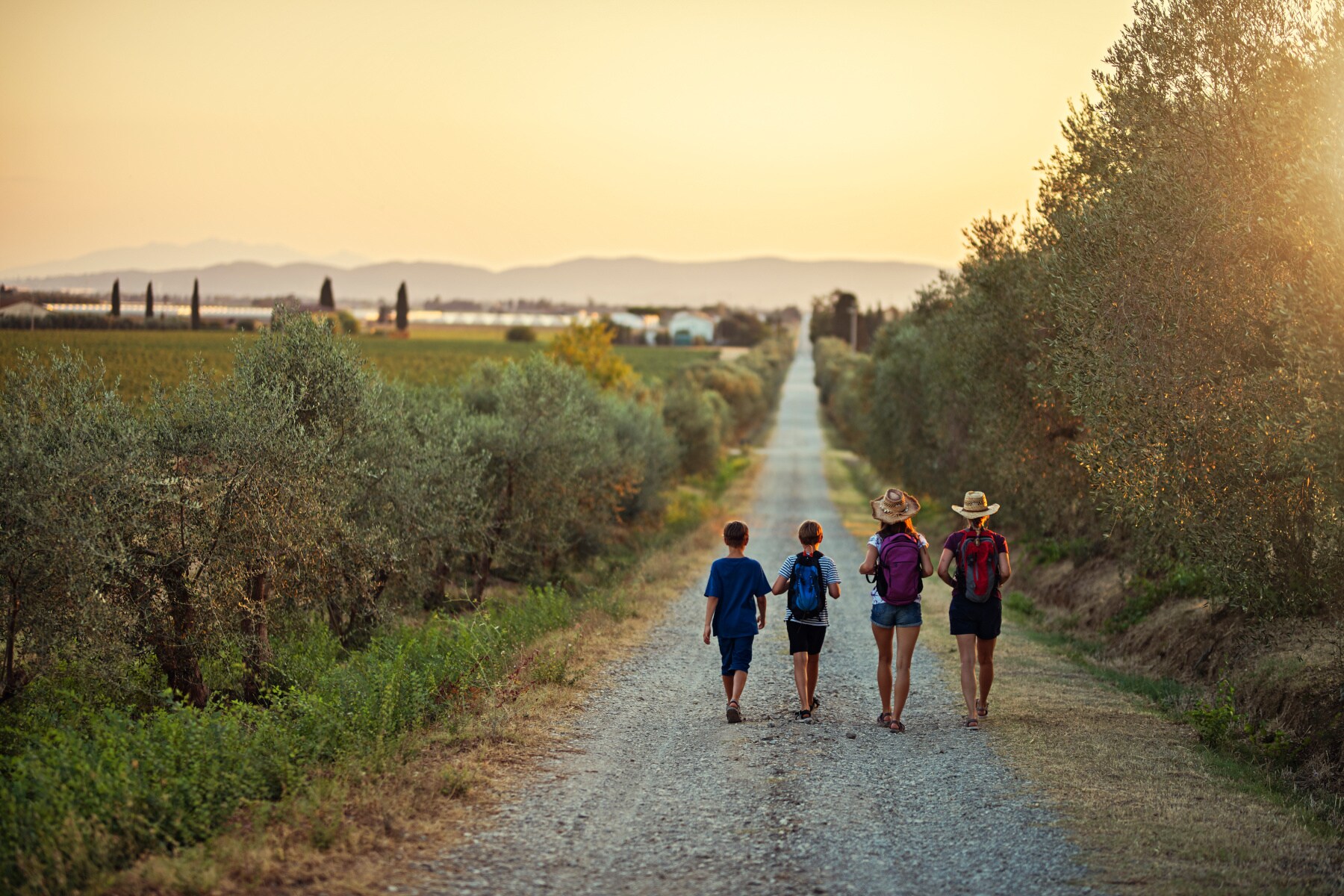 Zwei Erwachsene und zwei Kinder wandern in der Abendsonne einen Kiesweg in der Natur entlang Zwei Erwachsene und zwei Kinder wandern in der Abendsonne einen Kiesweg in der Natur entlang