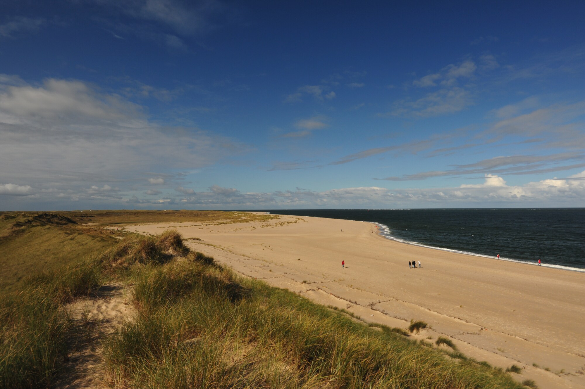 Personen spazieren auf einem breiten Sandstrand an einer grasbewachsenen Dünenlandschaft